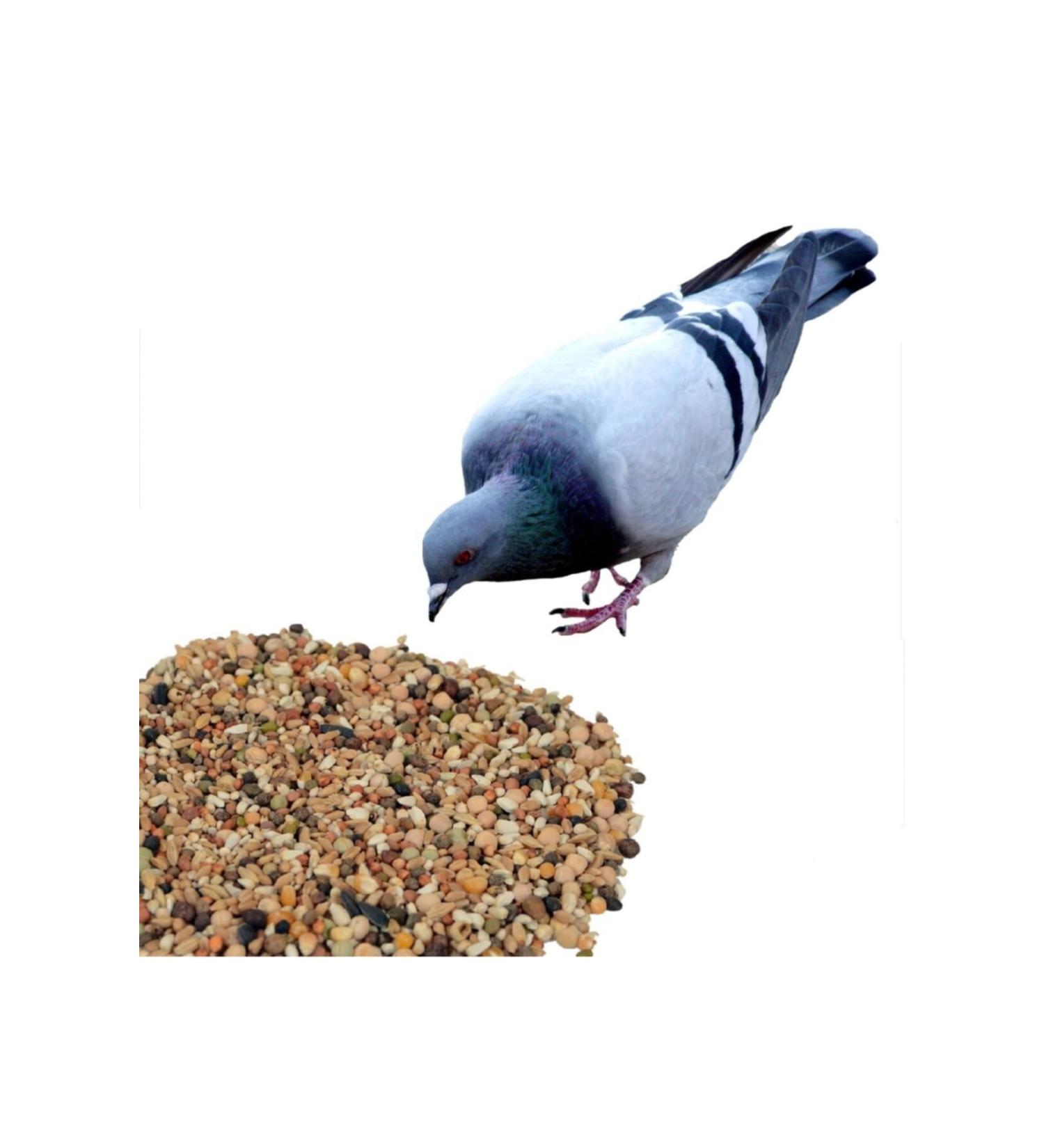 Happy Poultry Pigeon Food Wheat Super Mixed 1 Kg Food
