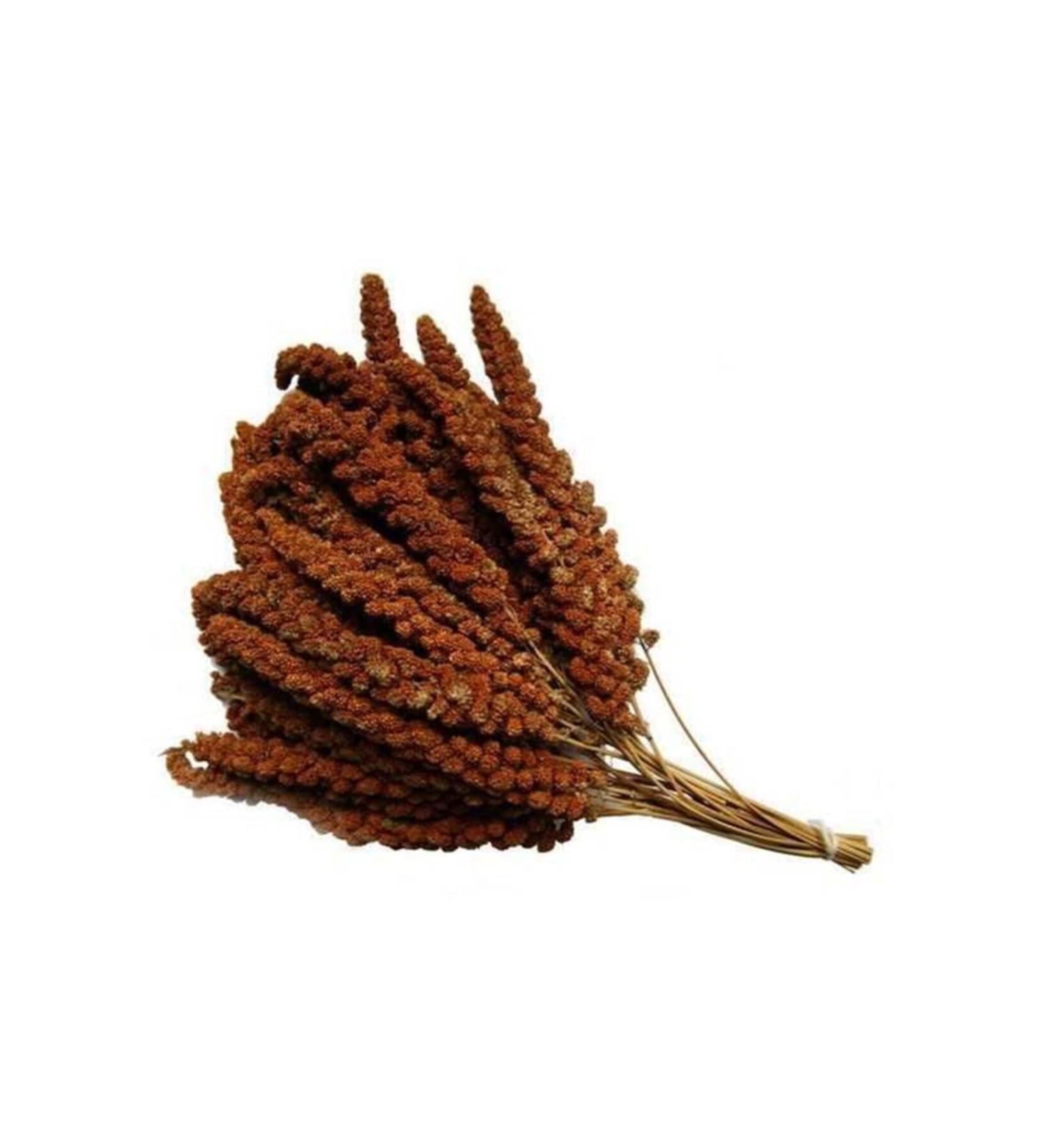 FUNPET Red Millet 1kg