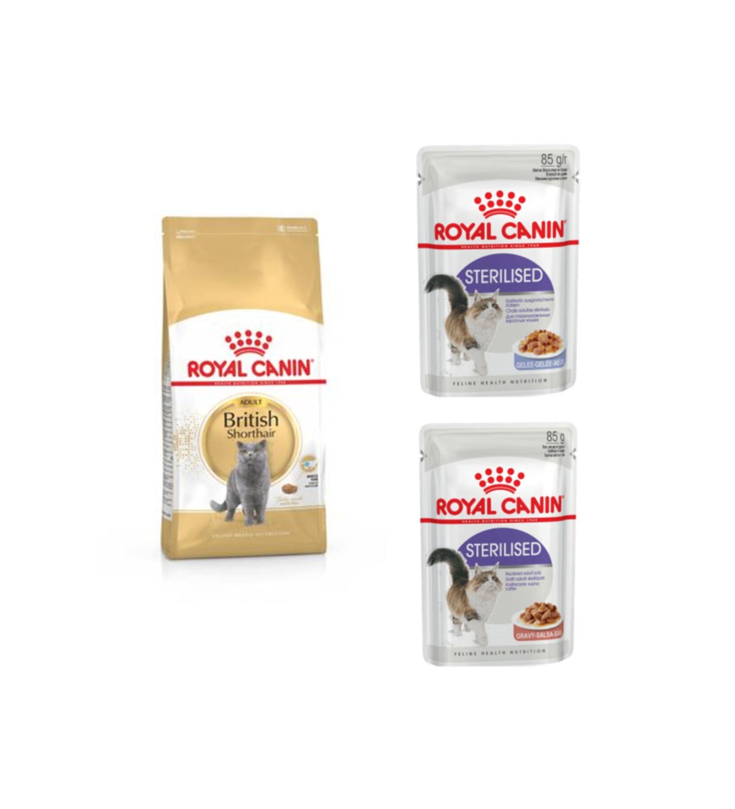 Royal Canin British Shorthair Adult Cat Food 2 kg and 2 Sterilized Neutered Cat Wet Food 85 gr