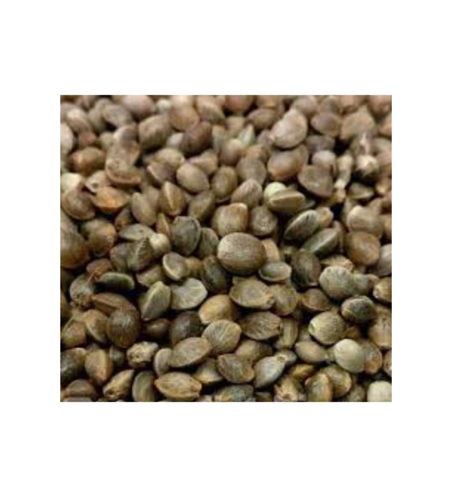 Local Cedene 1000 gr