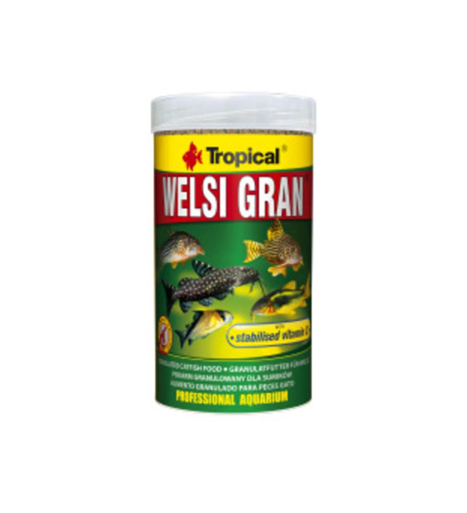 Tropical Wellsi Gran 100ml/65g