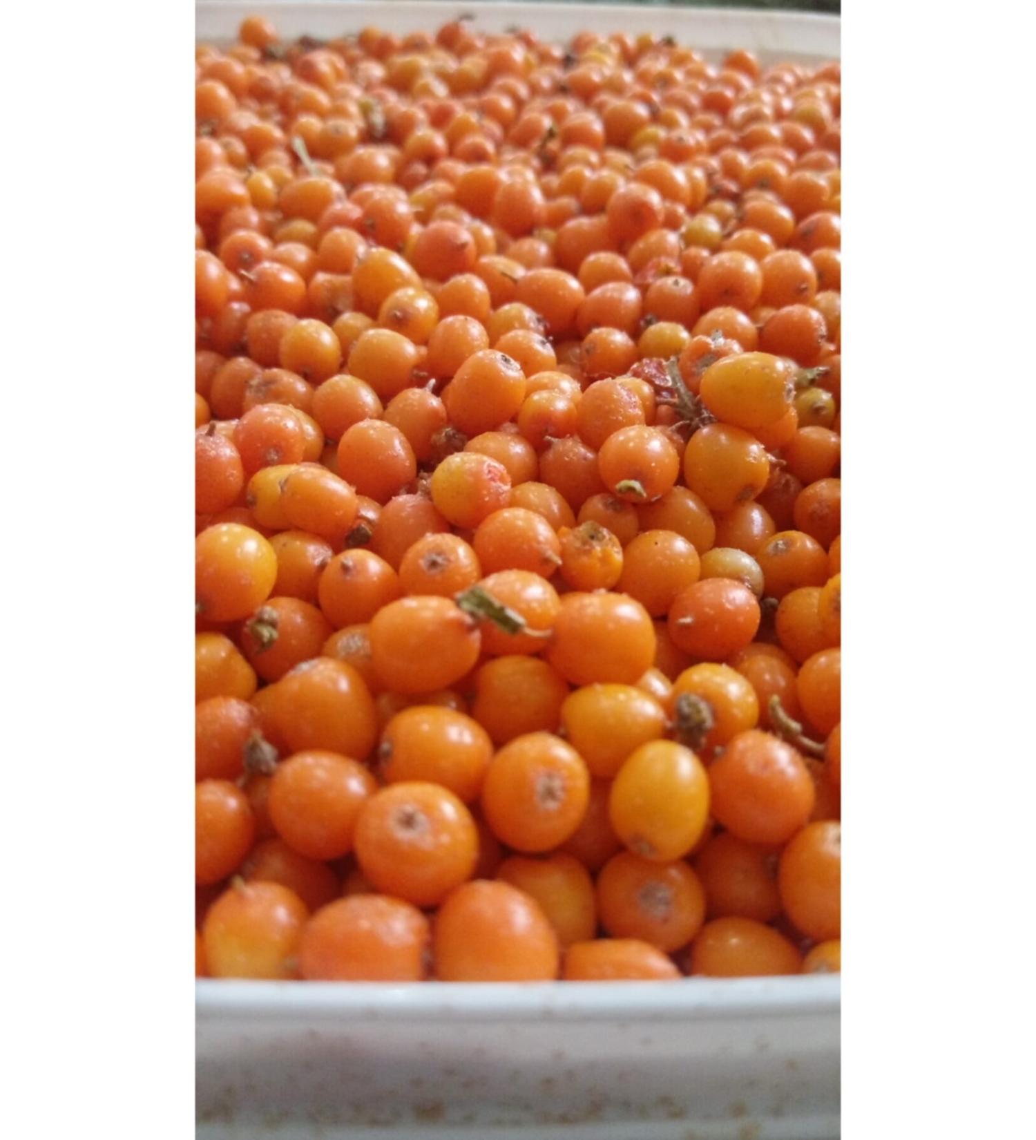 FAGIDA Sea Buckthorn Oil 50gr 0 Natural (Stone Buckthorn Oil 50gr)