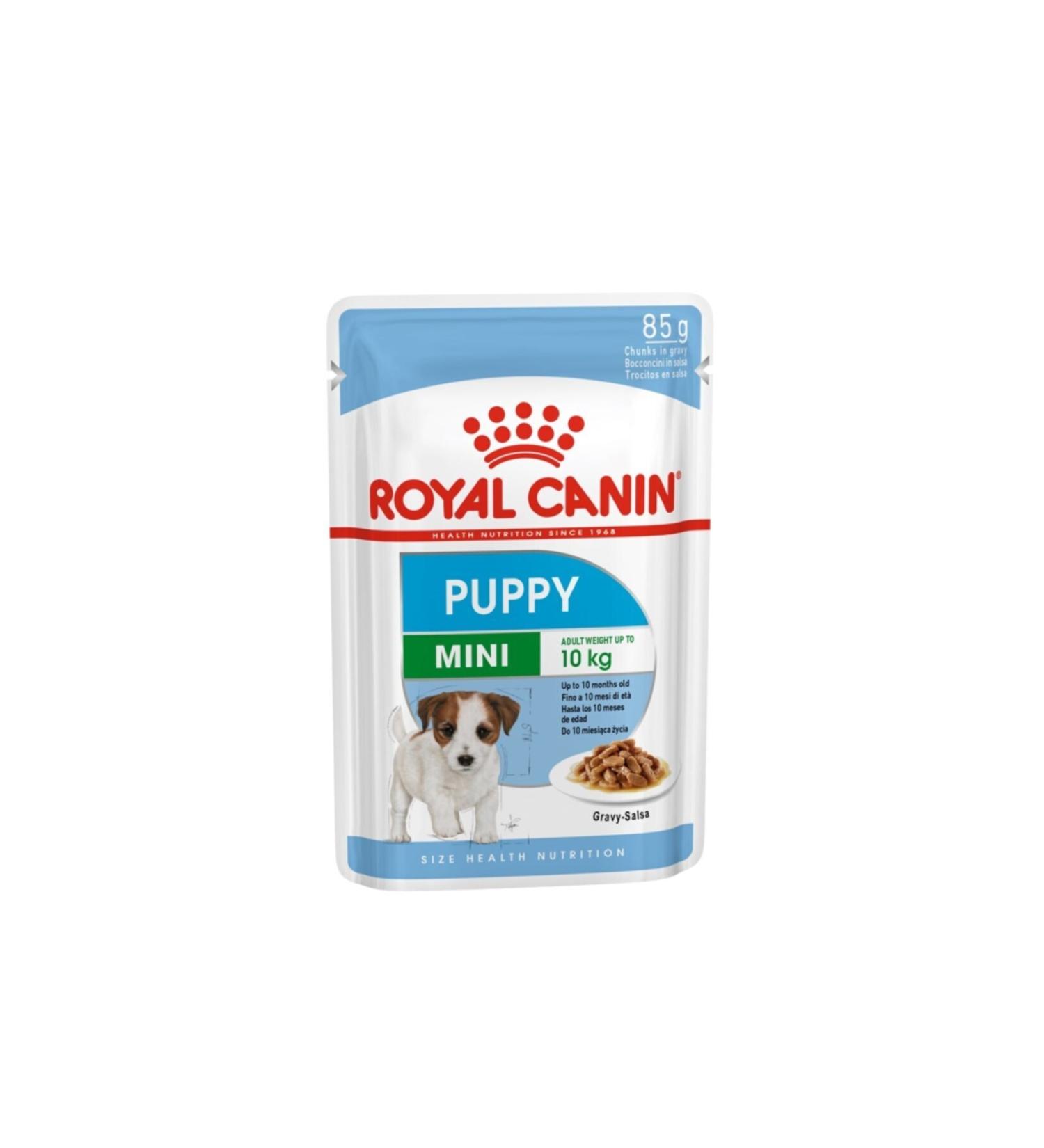 Royal Canin Shn Mini Puppy Puppy Food 12x85 Gr