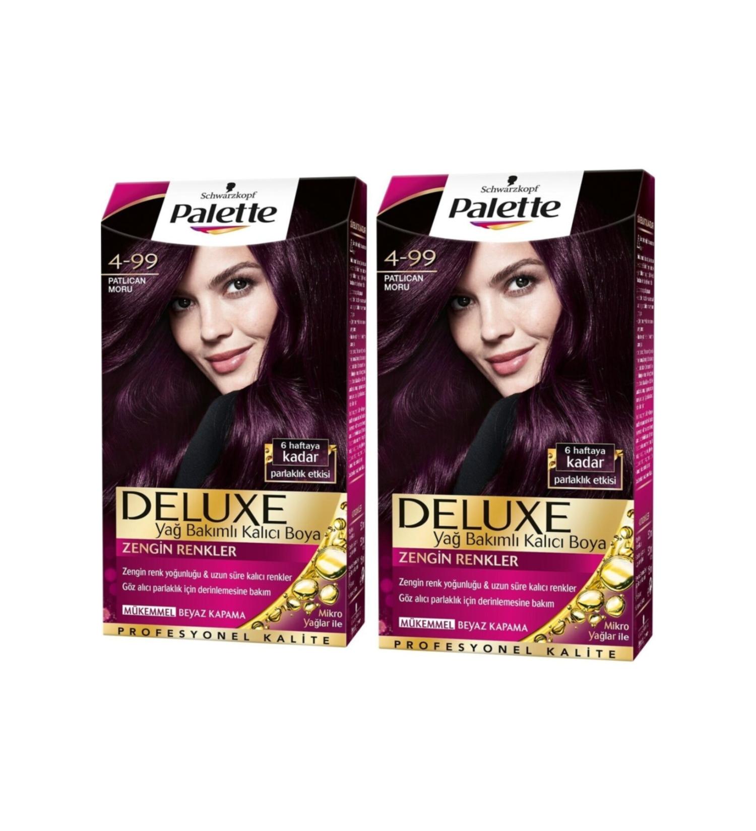 Palette Hair Dye 4.99 Eggplant Purple 2 Pieces