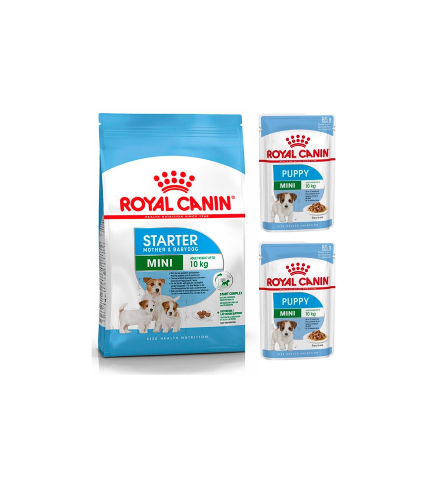 Royal Canin Mini Starter Puppy Food 3 Kg + Dog Wet Food 2 Pieces