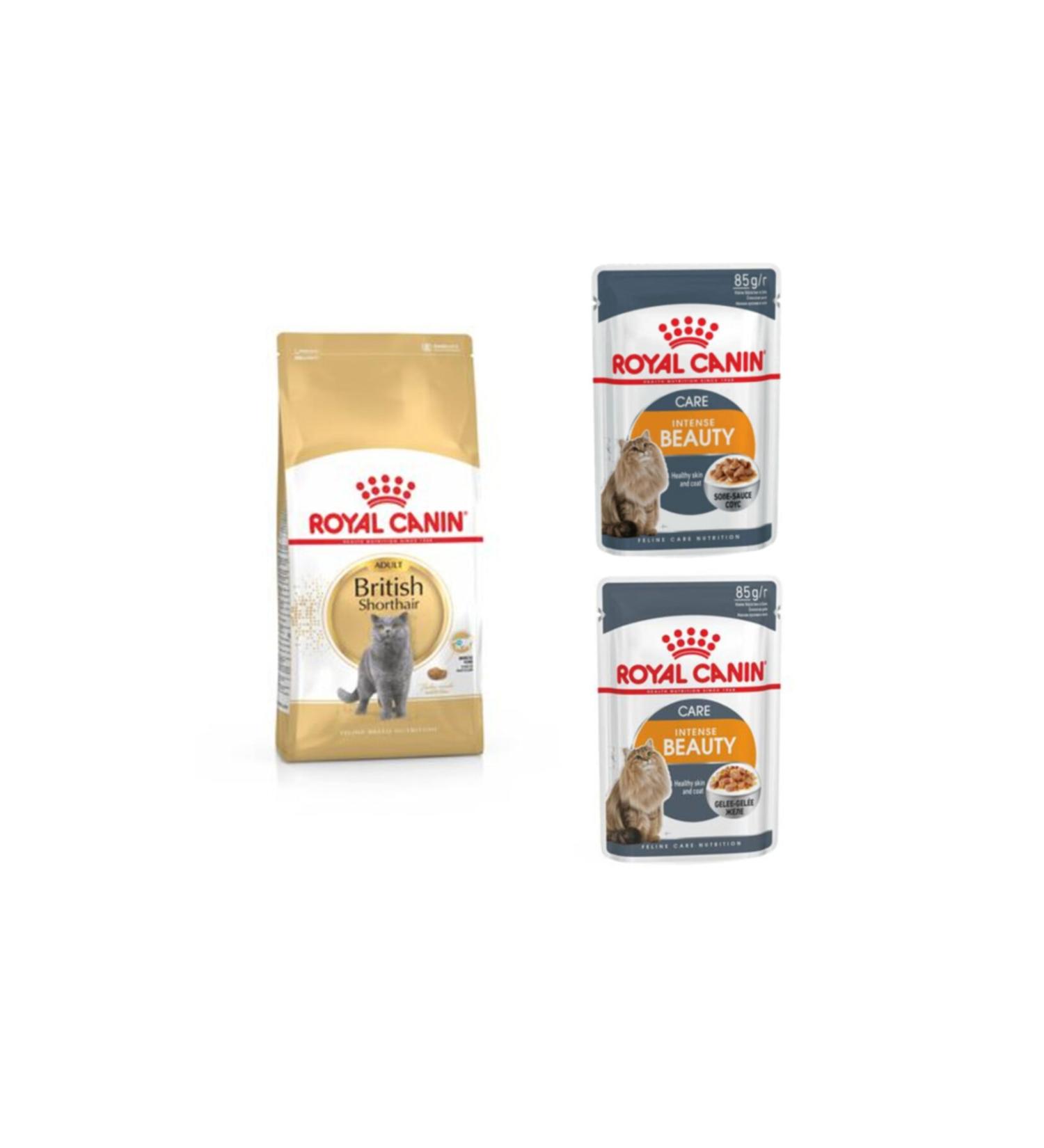 Royal Canin British Shorthair Adult Cat Food 2 Kg + 2 Pieces Intense Beauty Wet Food 85 Gr