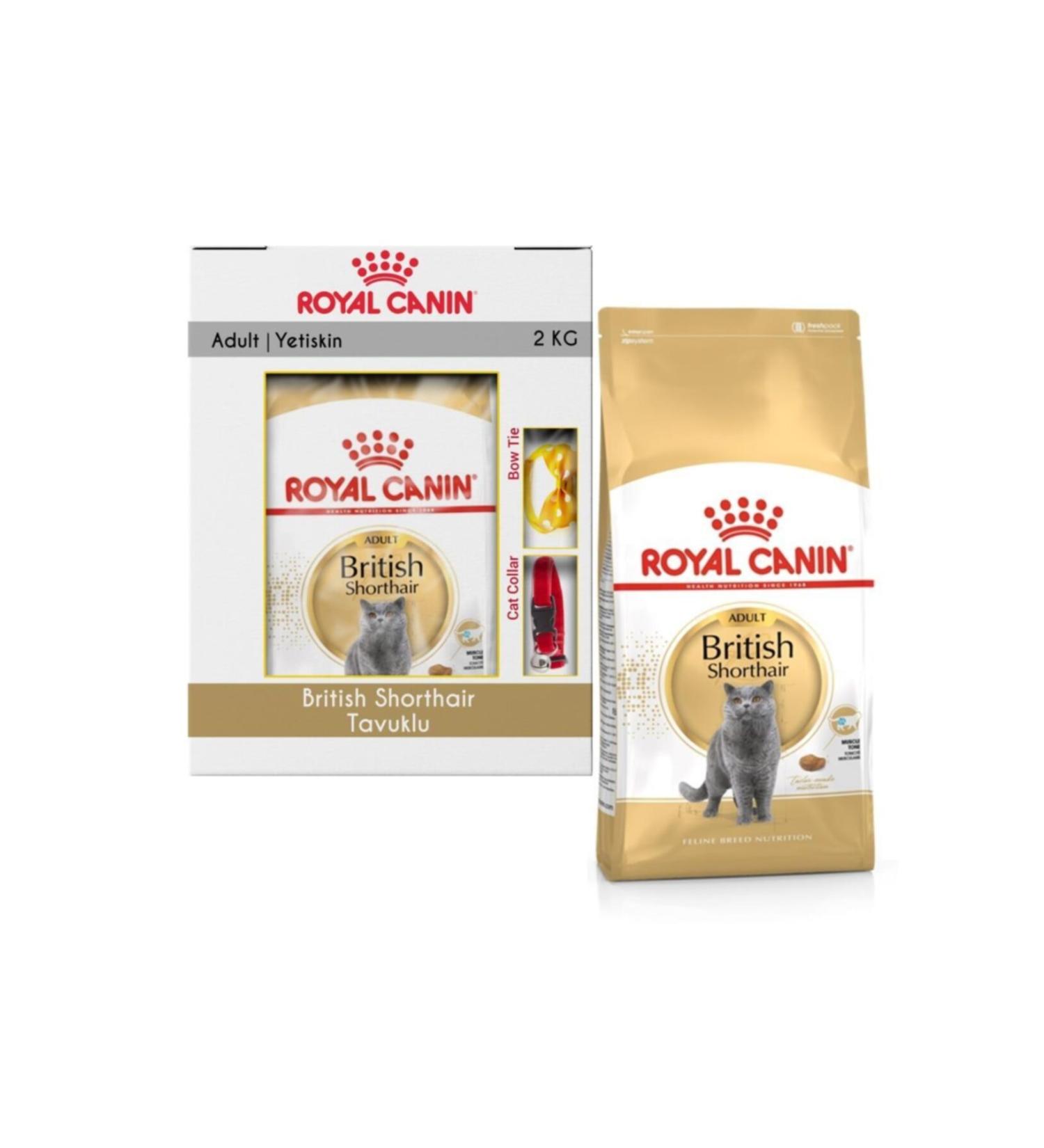 Royal Canin British Shorthair Chicken Cat Food 2 Kg