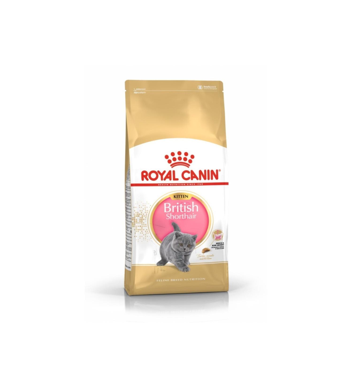 Royal Canin Fbn British Shorthair Kitten Cat Food 2kg