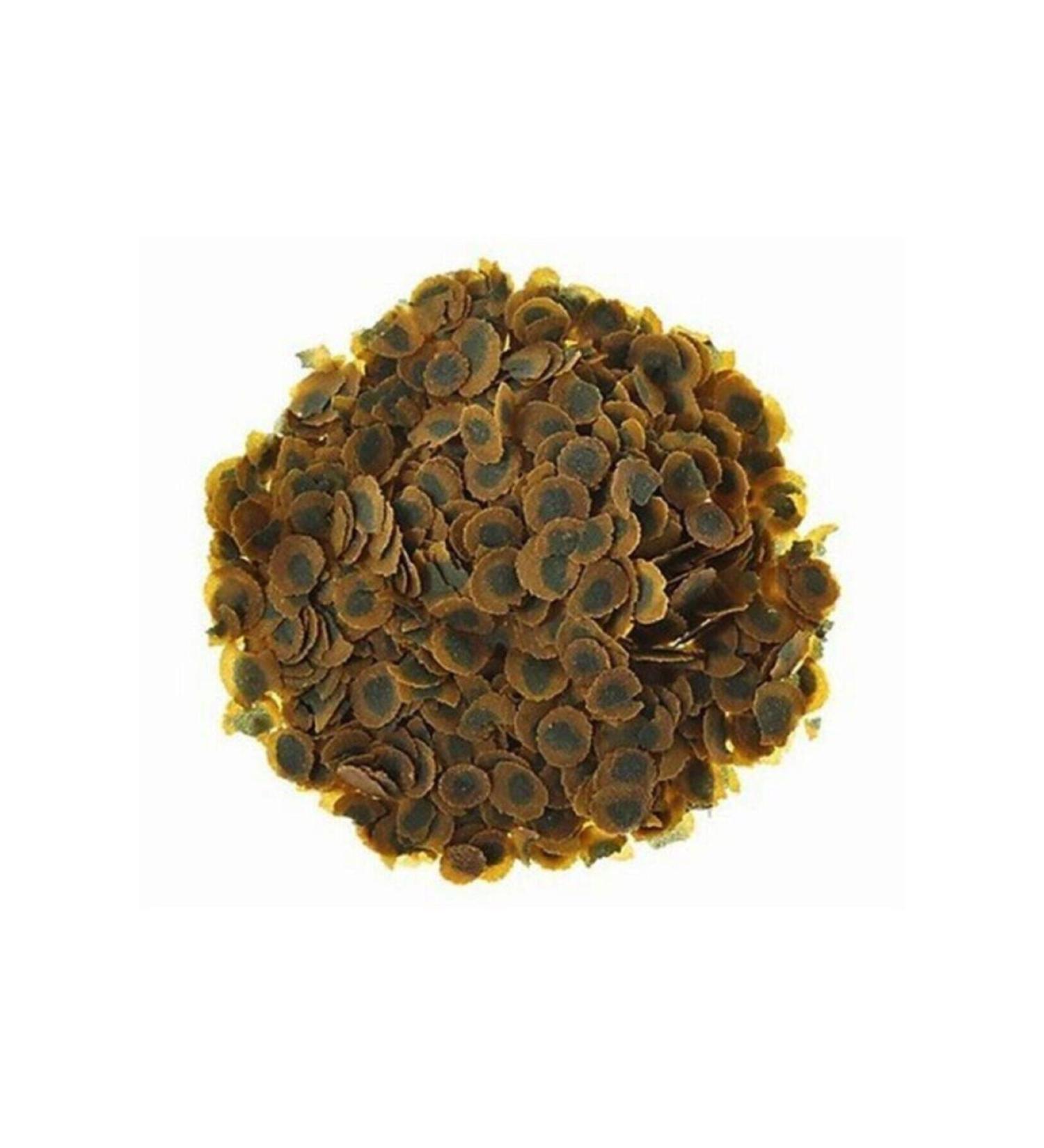 Tetra Pro Algae 500 Gram Herbal Fish Food - Buy Online on GoSupps.com