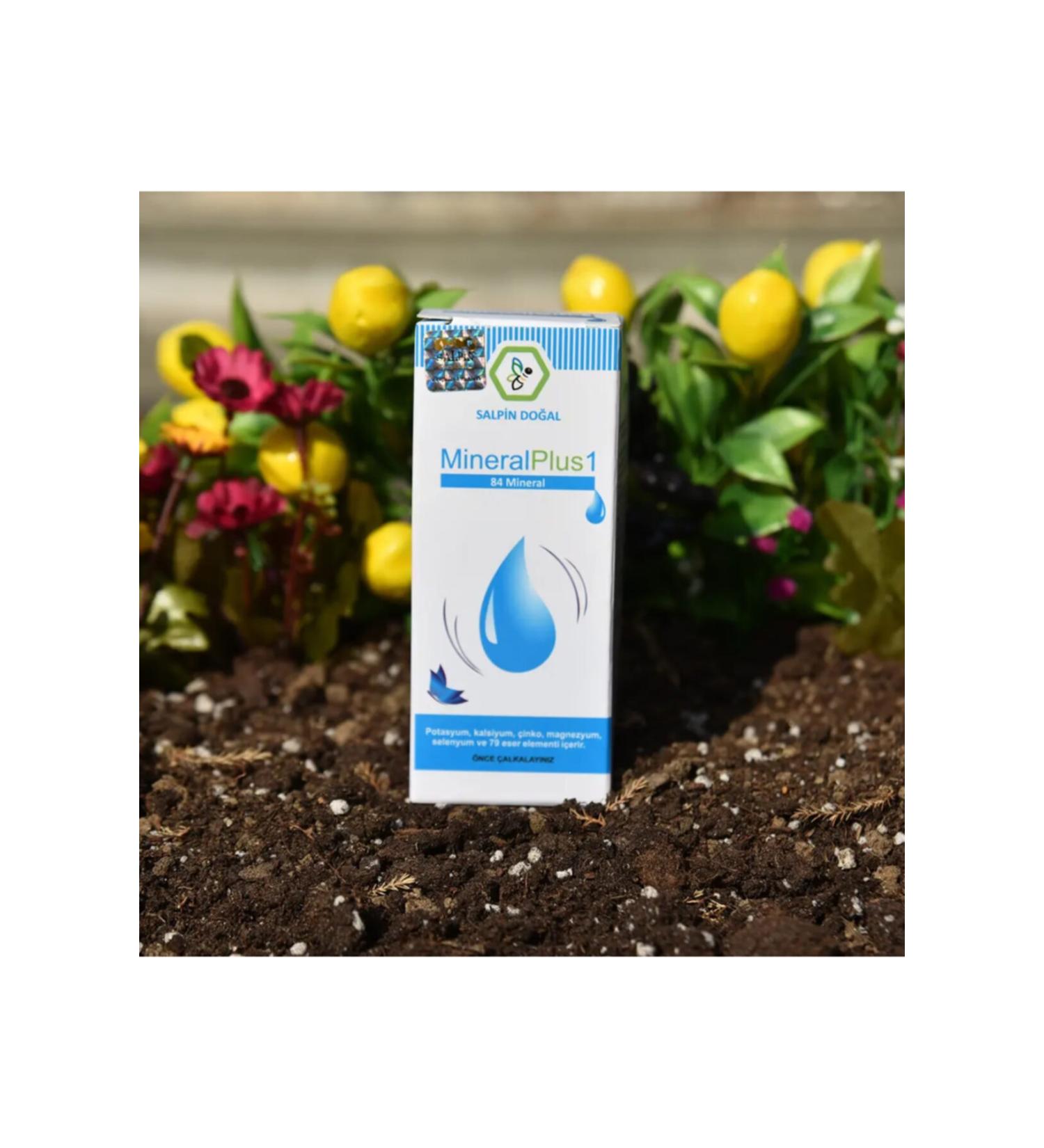 SALP N Mineral Plus 1 100 Ml