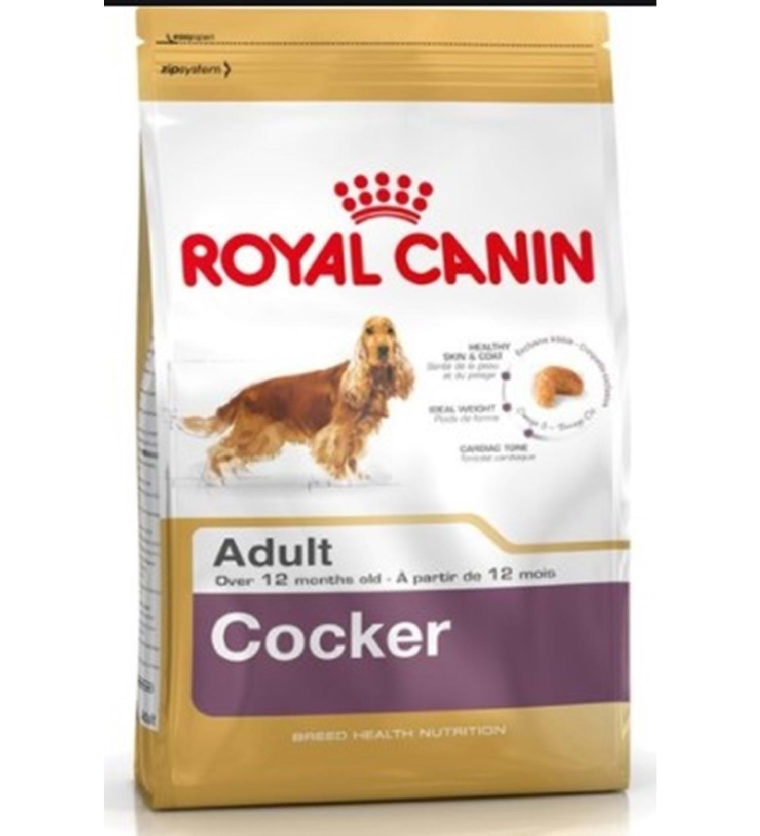 Royal Canin Bhn Cocker Jun 3k