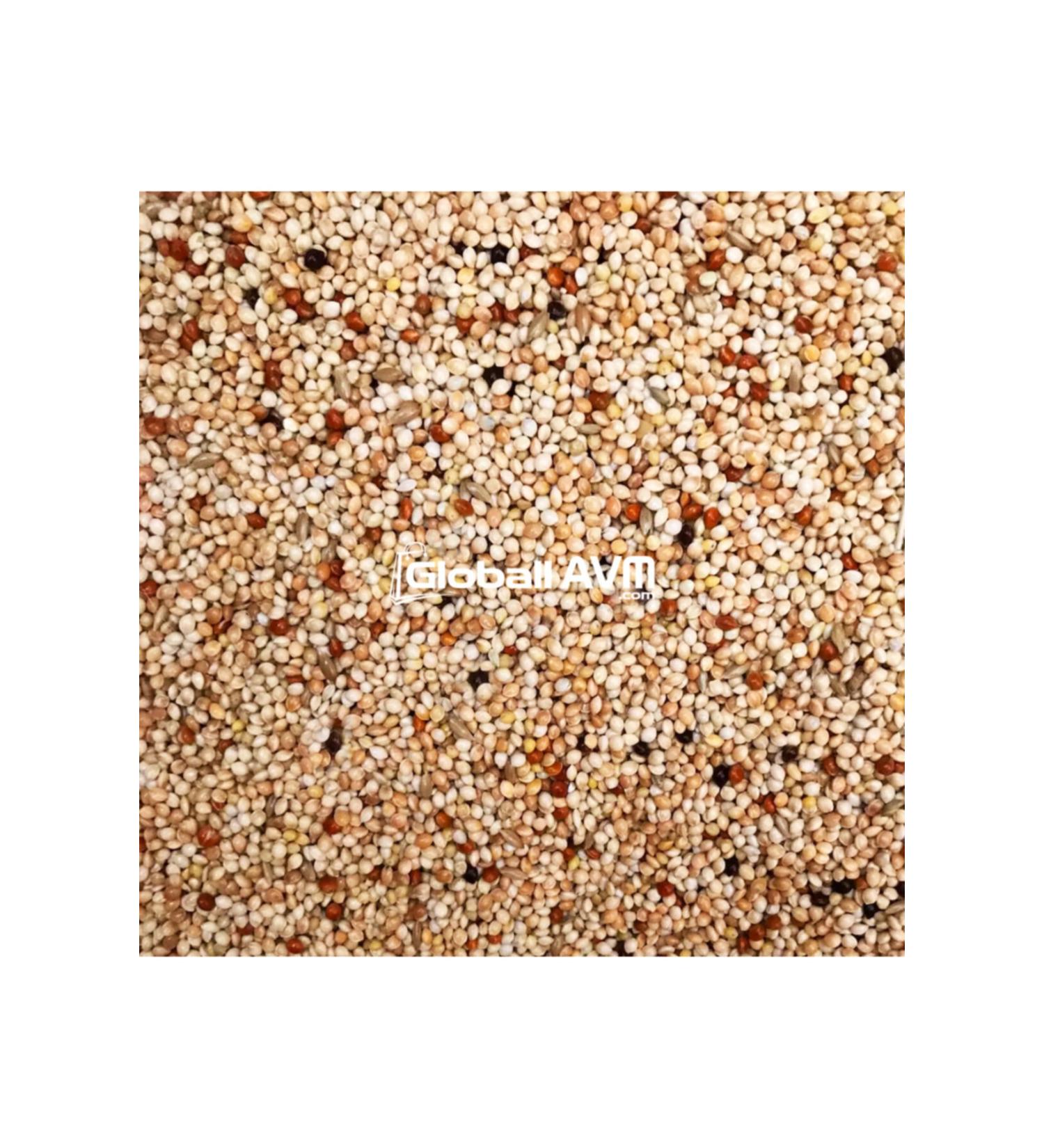 Mavi Ku Products Mixed Budgie Food 5 Kg