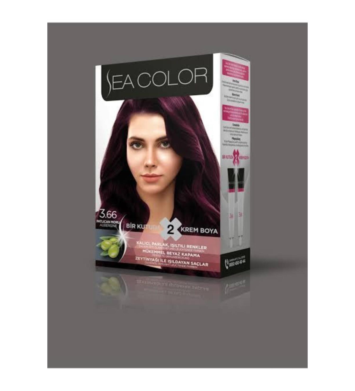 seacolor Sea Color Eggplant Purple 3.66 Hair Dye Two Tubes Hair Dye