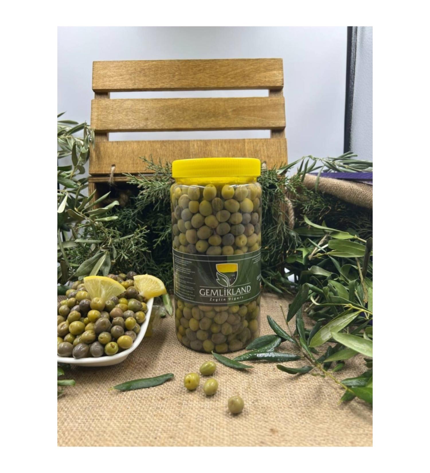 GEML KLAND Hal Hal Green Olive 1 kg Pet