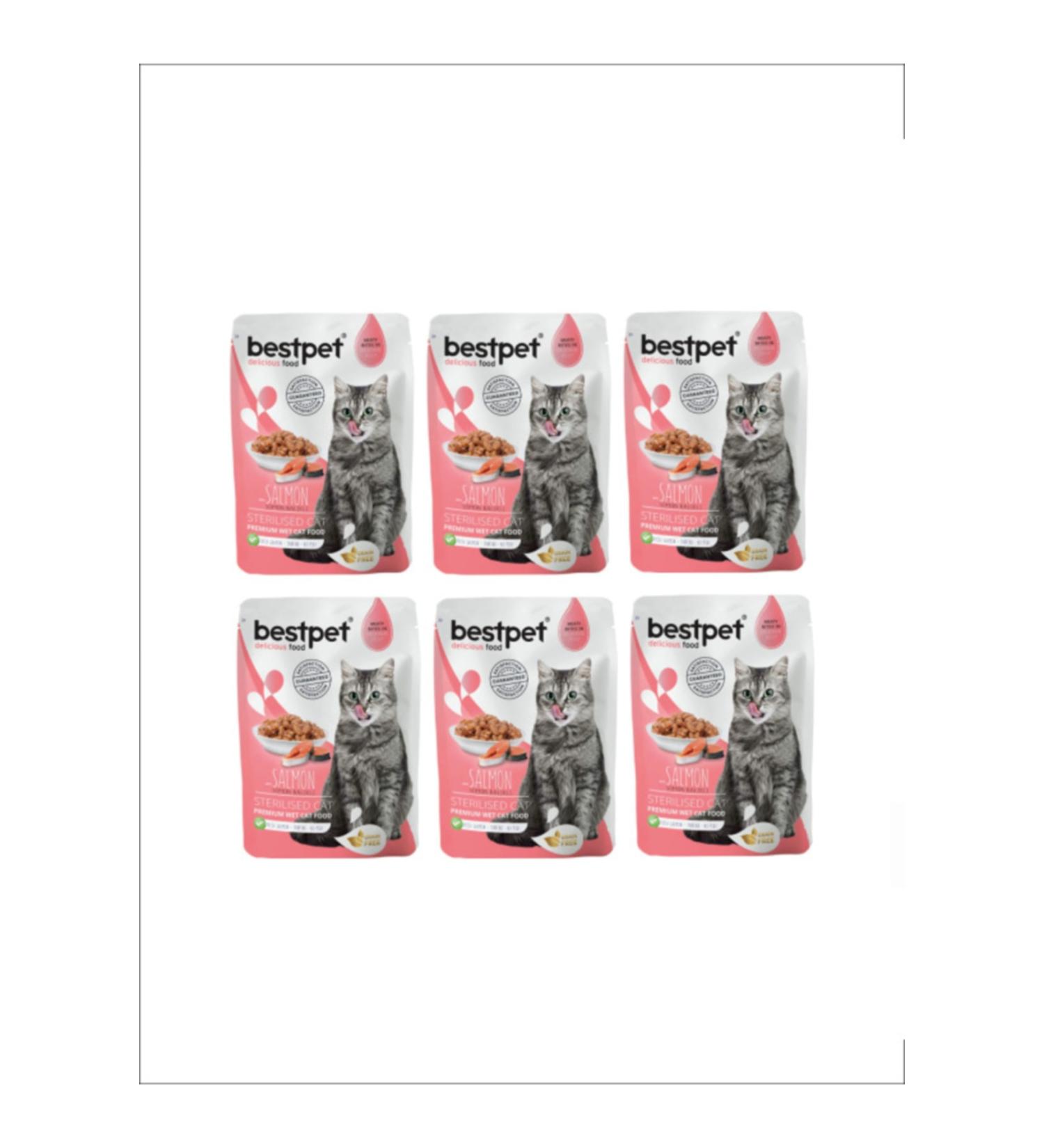 Bestpet Cat Adult Salmon 85 Gr 6 Pieces