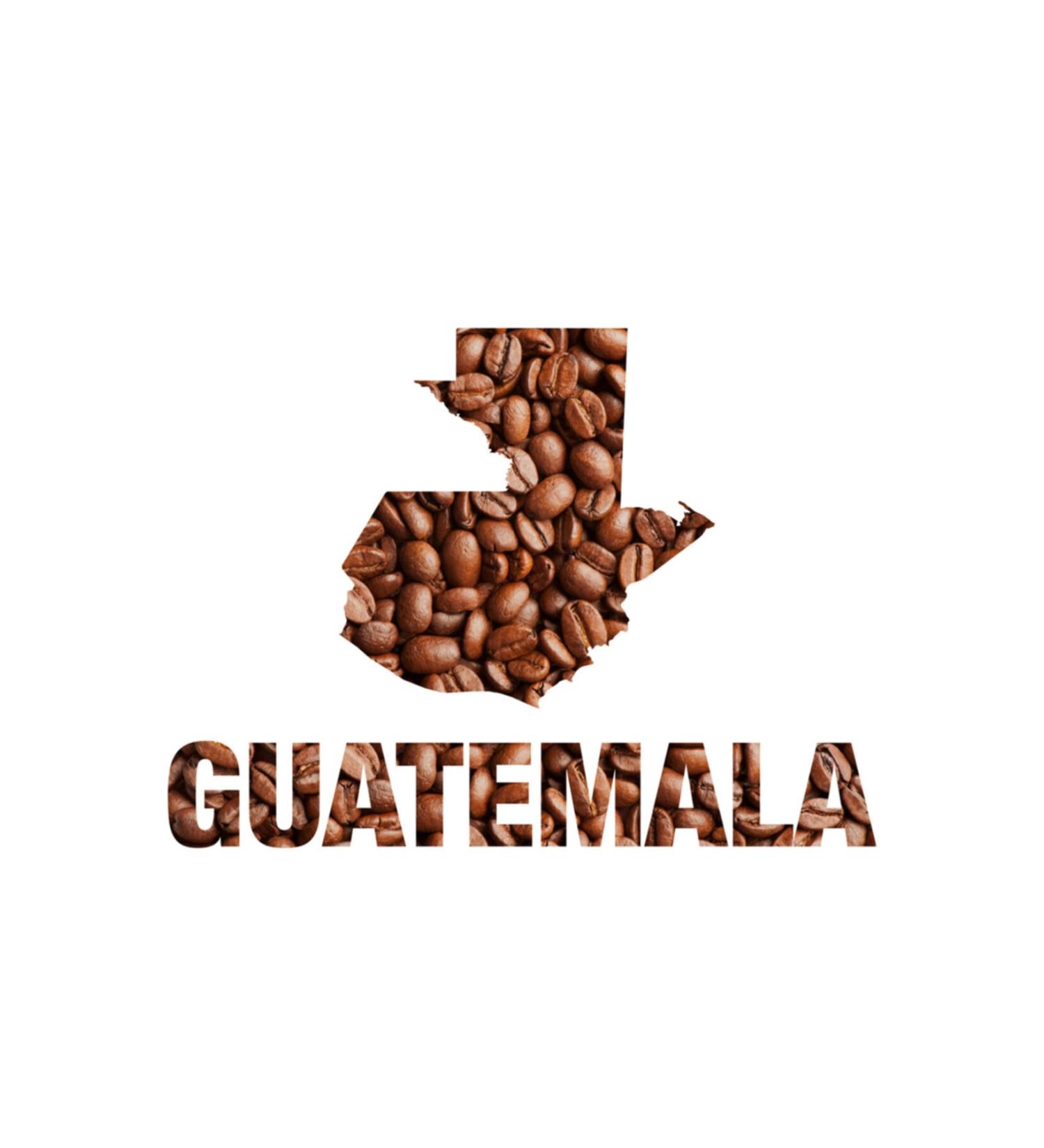 G NE NUTS Guatemala Filter Coffee 500gr