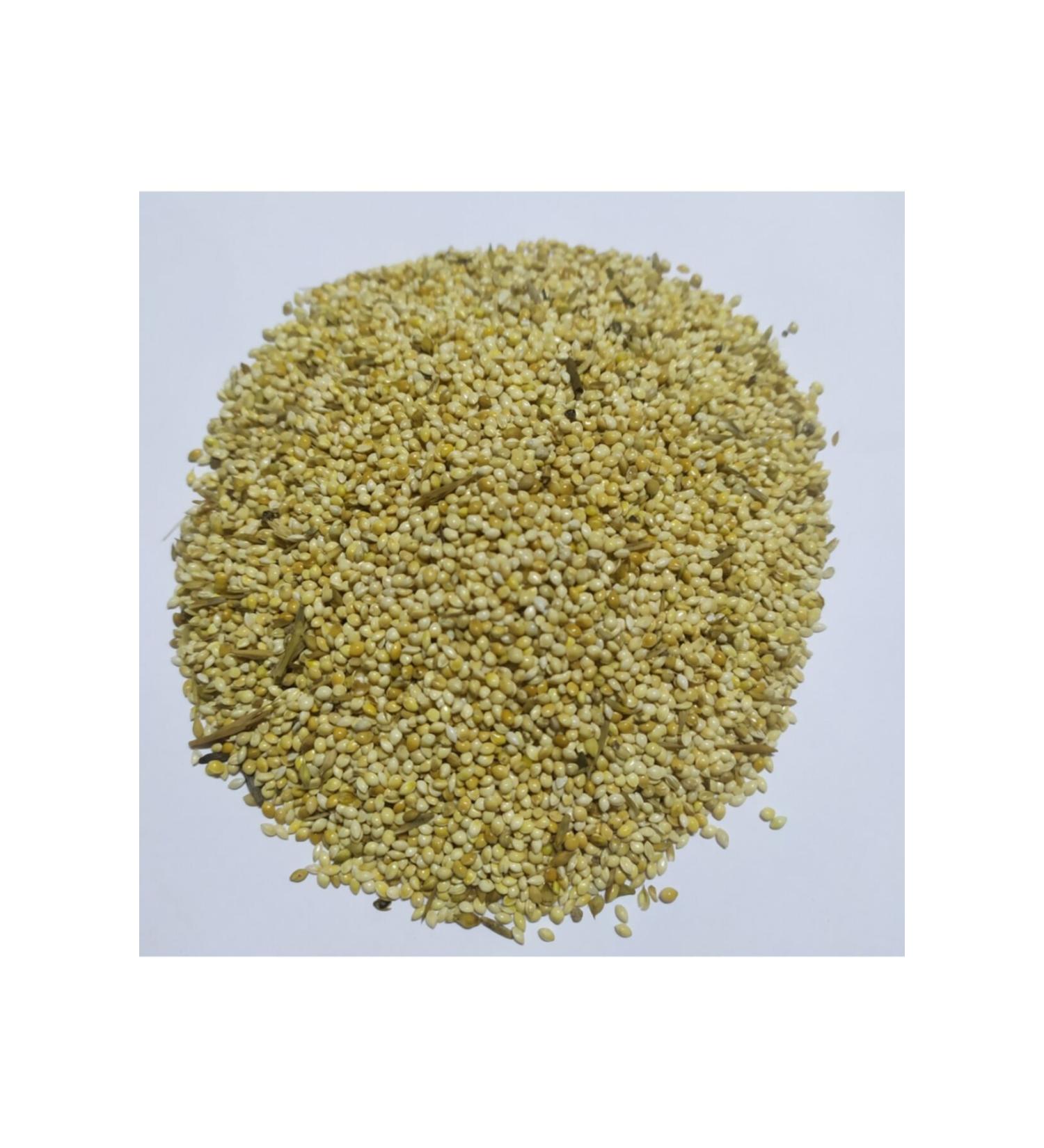 Bereketlimama White Millet - Budgie Food - 5 Kilograms