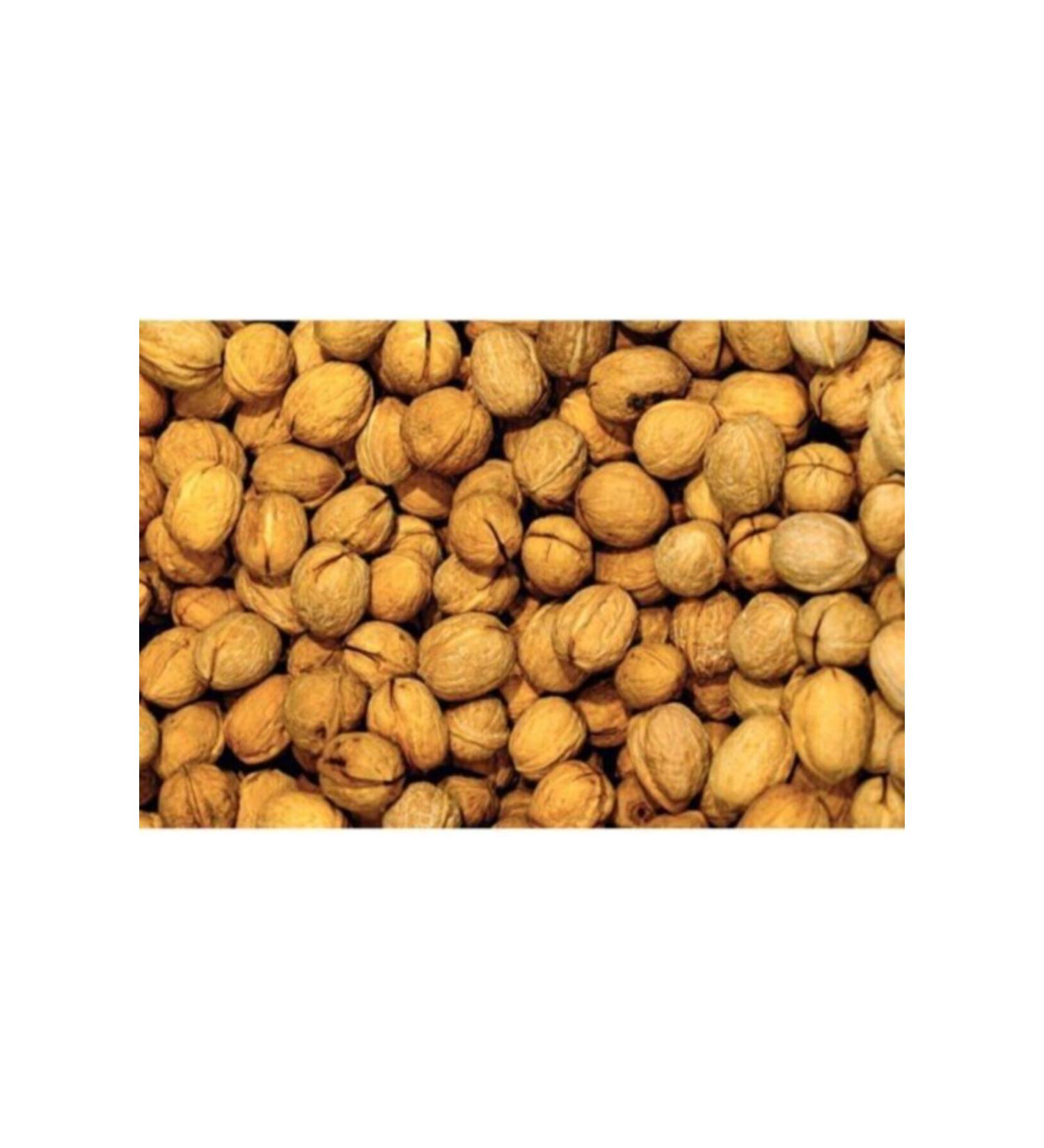 From garden to table Osmaniye Walnut in Shell - 1 Kg