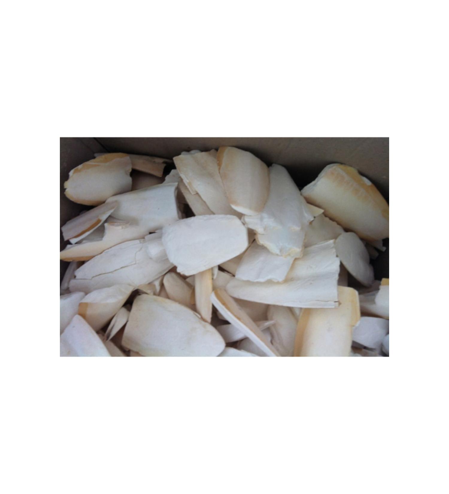 Ozpati Broken Cuttlefish Bone (squid) 100 Gr