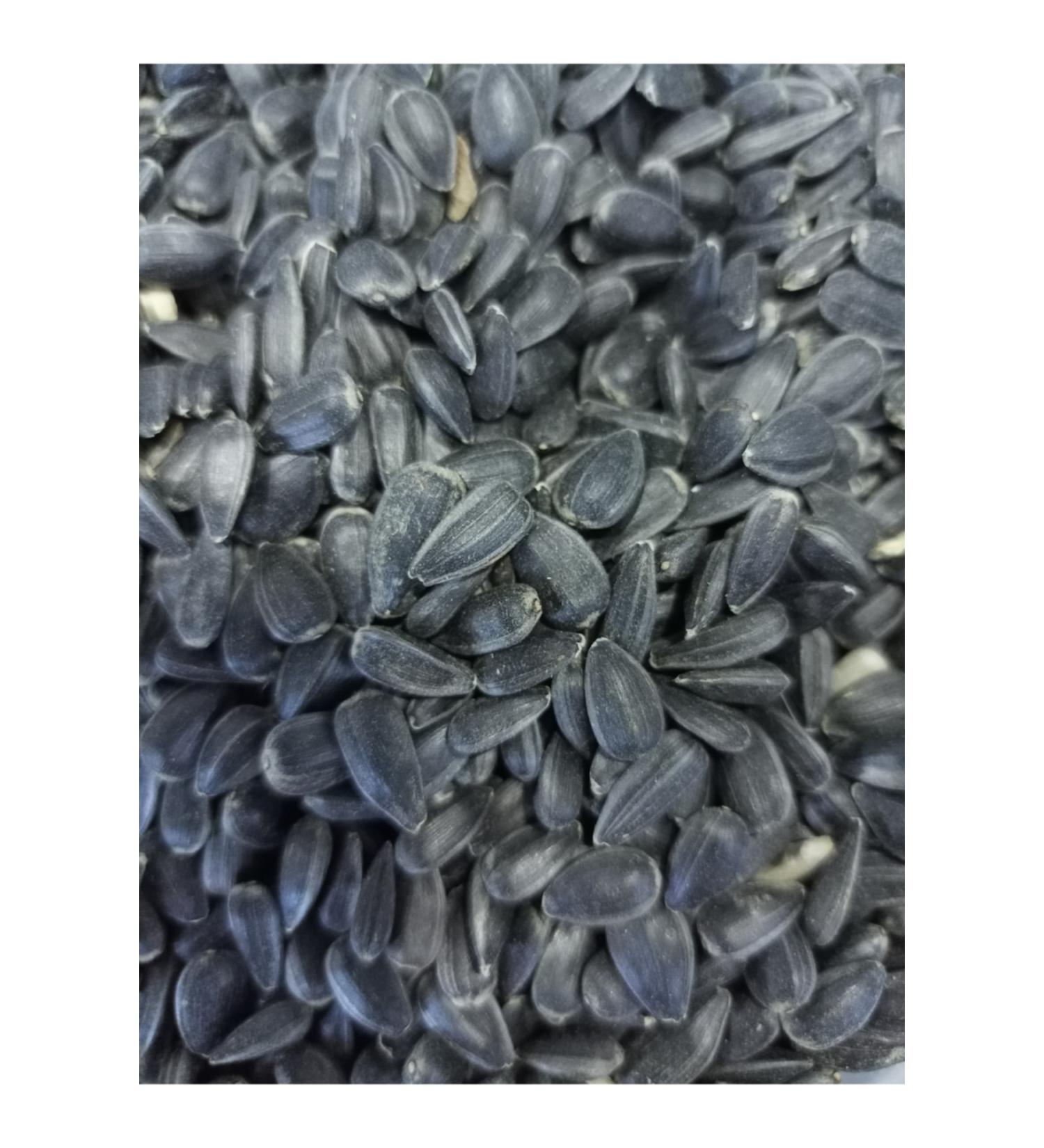 zdemir Petshop Parrot Seed 5 Kg