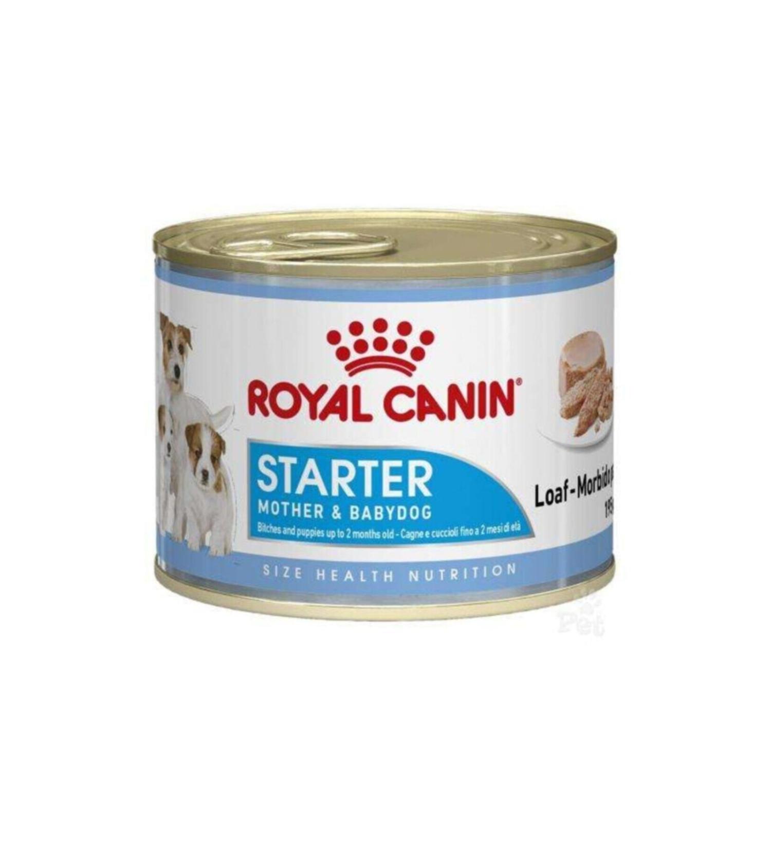 Royal Canin 6-Piece Starter Mousse Puppy Canned Food 195 gr