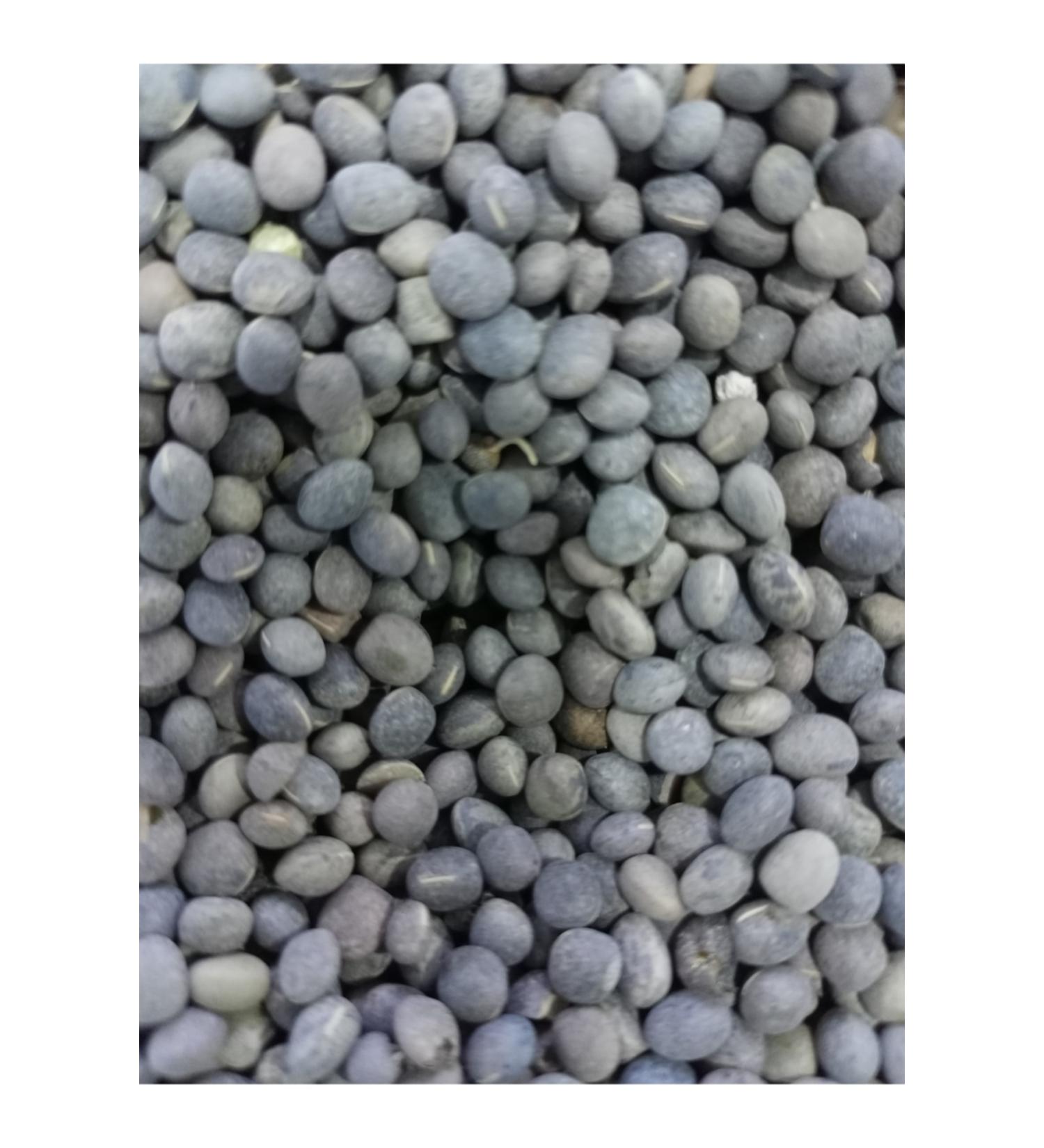 Ozdemir Petshop Fi Hohumu 5kg