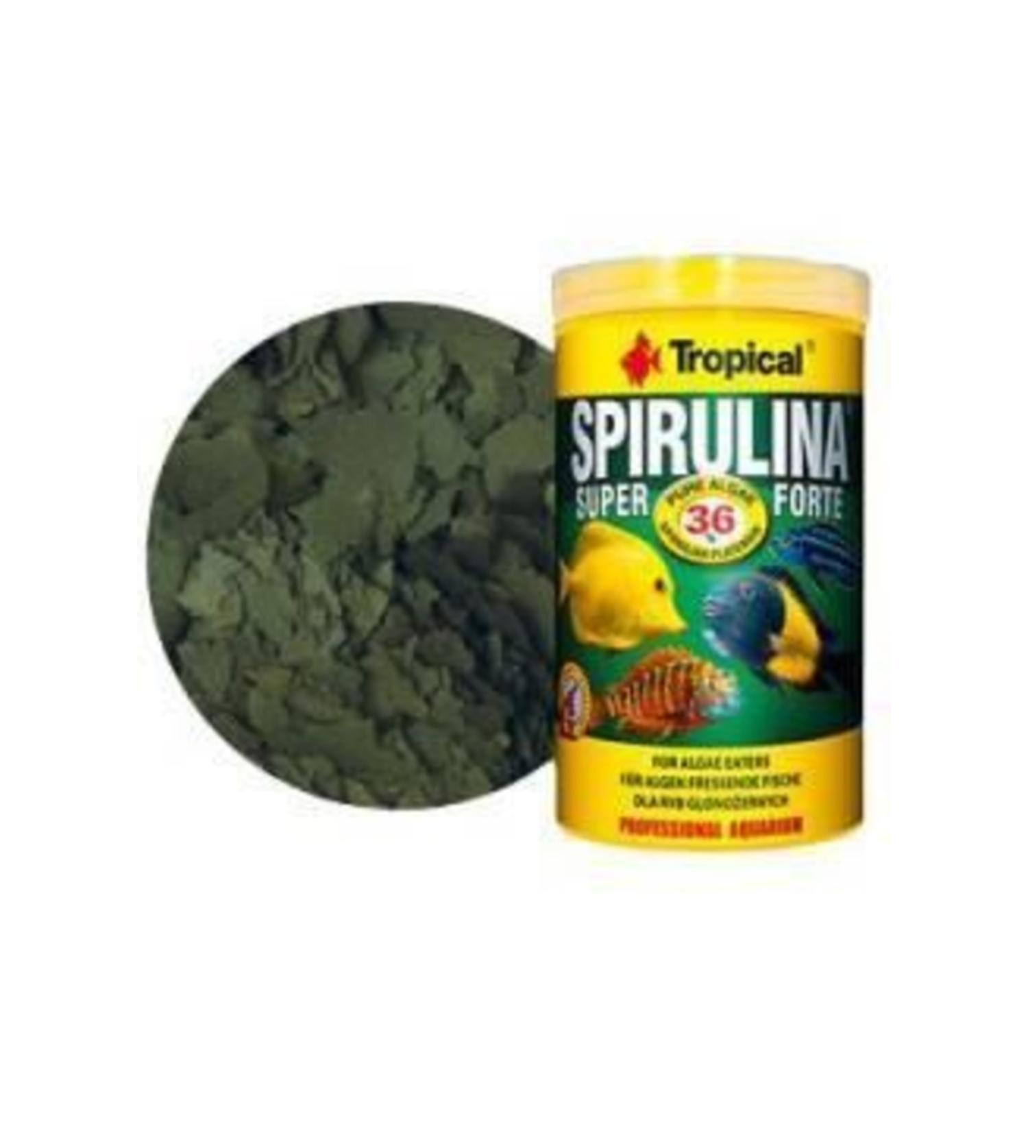 Tropical Spirulina Super Forte Flake 100gr.