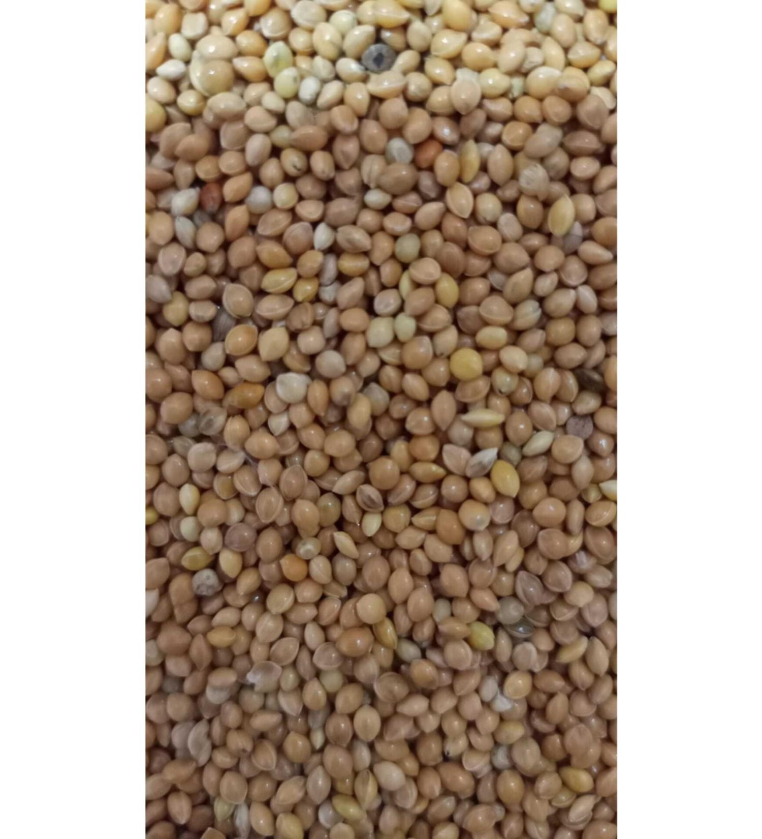 zdemir Petshop Yellow Millet 5kg