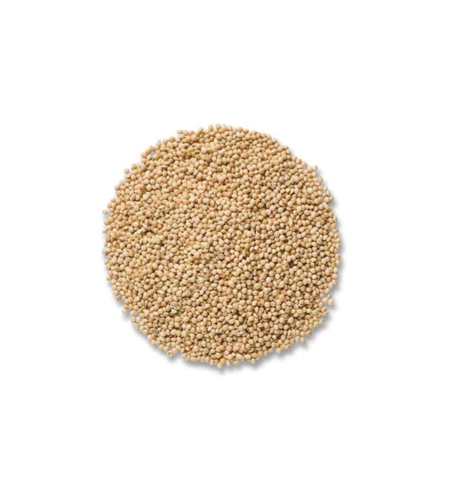 Aktar Store Bird Food White Millet White Millet 1 Kg