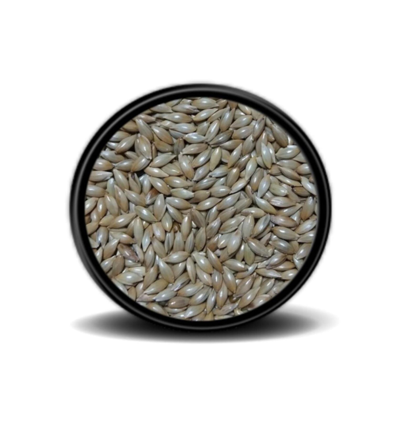 724 PET MARKET Vivid Plain Canary Food 2 Kg