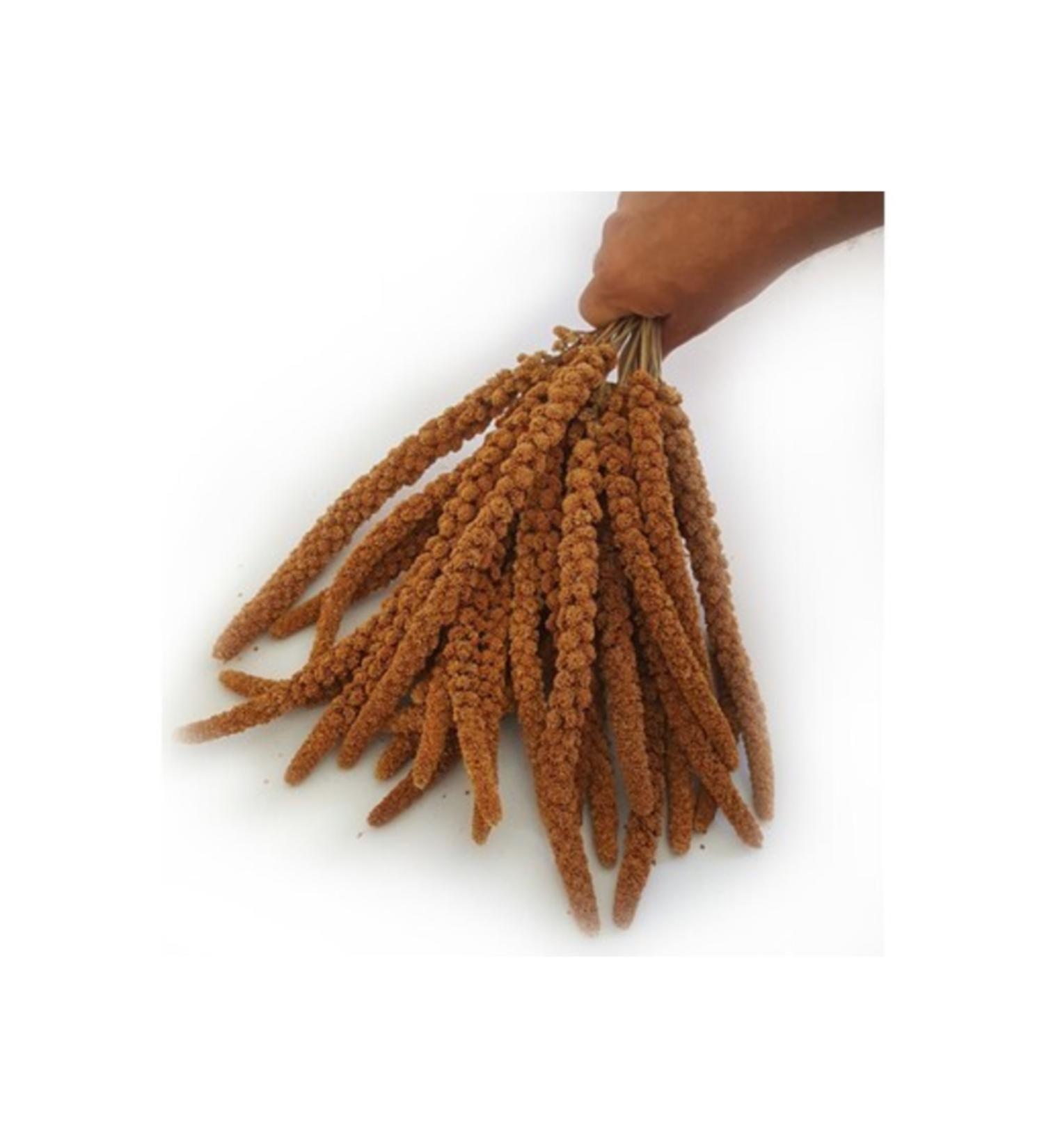 Ozpati Natural Red Millet 1 Kg