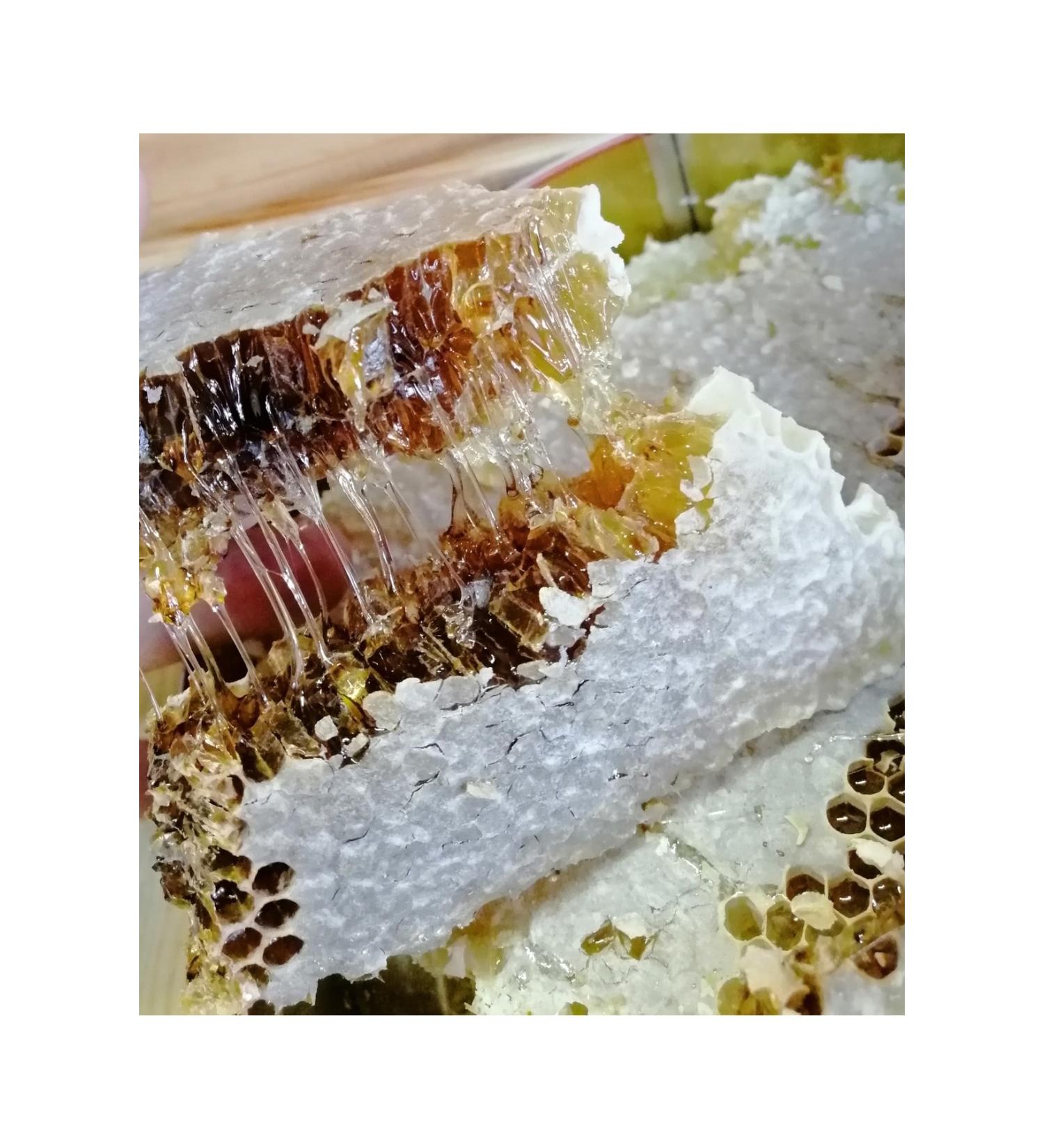 atak honey house Organic Soil Black Hive Honey 1kg