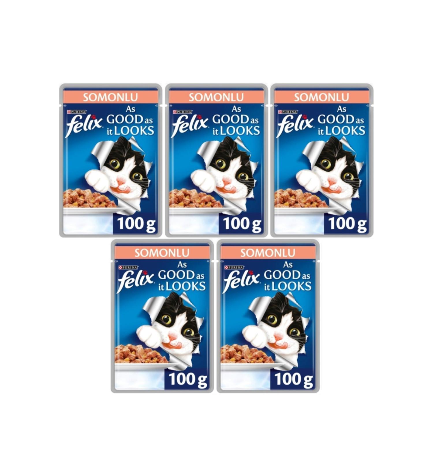 FELIX Salmon Pouch 6-Piece