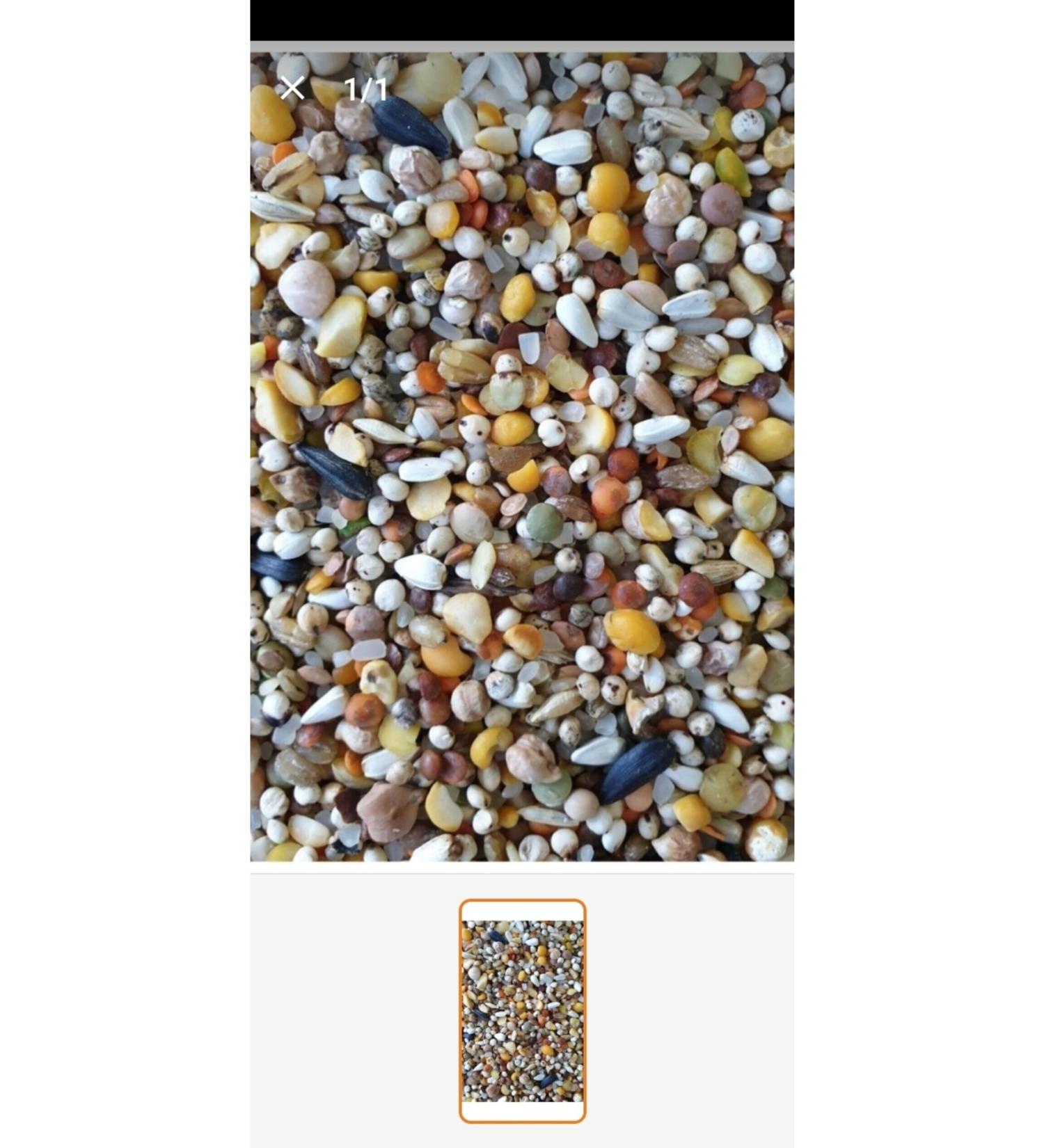 SOHA TRADE Mixed Pigeon Food 10 Kg - Buy Online on GoSupps.com