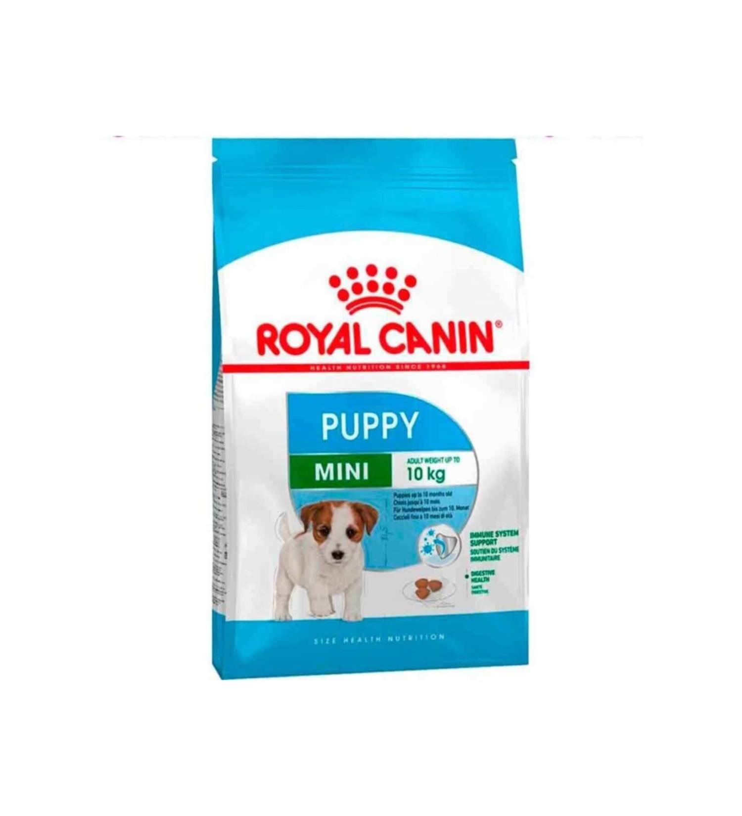 Royal Canin Mini Junior 4 Kg