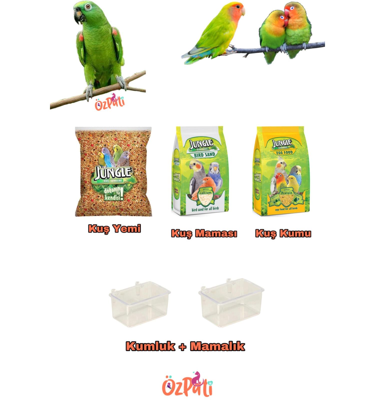 Jungle Bird Food + Bird Sand + Bird Food