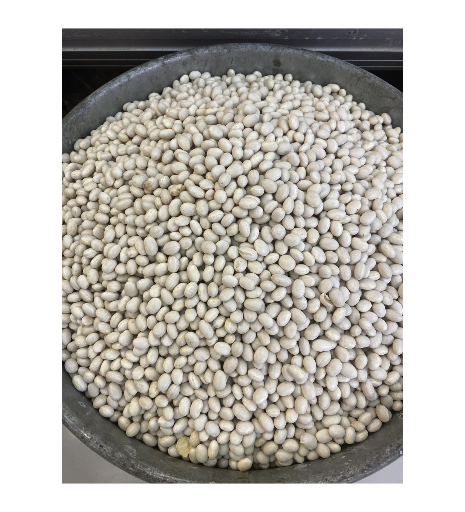 ift io lu Local Ispir Sugar Beans 500 Gr