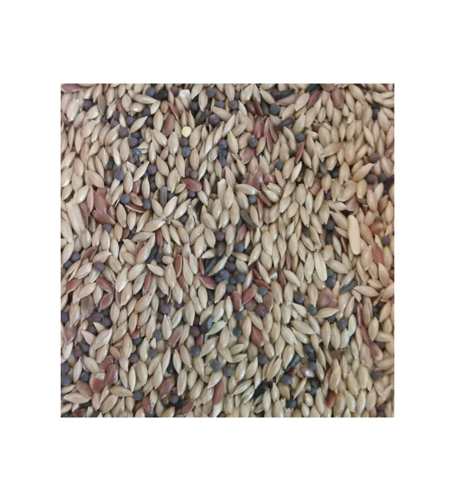 Ingro Kanarya Plain (ASPUR) 1 Kg