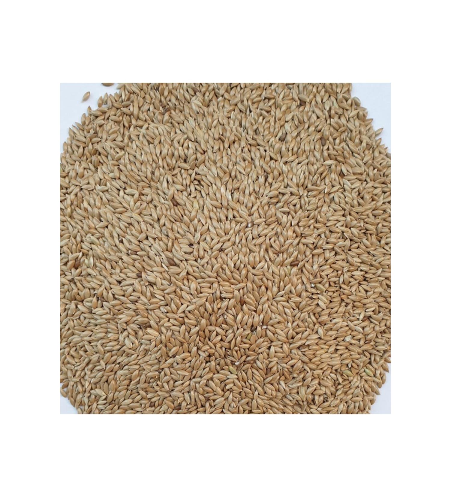 Pupa Plain Canary Food 10kg