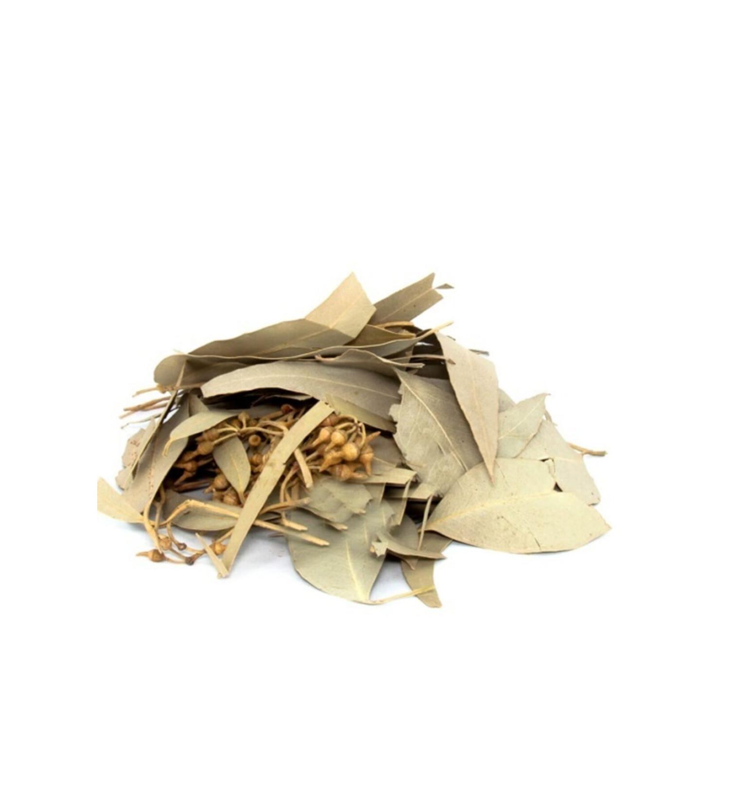 Aktarzane Eucalyptus Leaves 1000gr