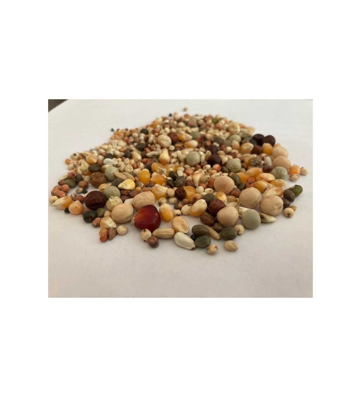 ERKE DE RMEN Pigeon Food Lux 5 Kg