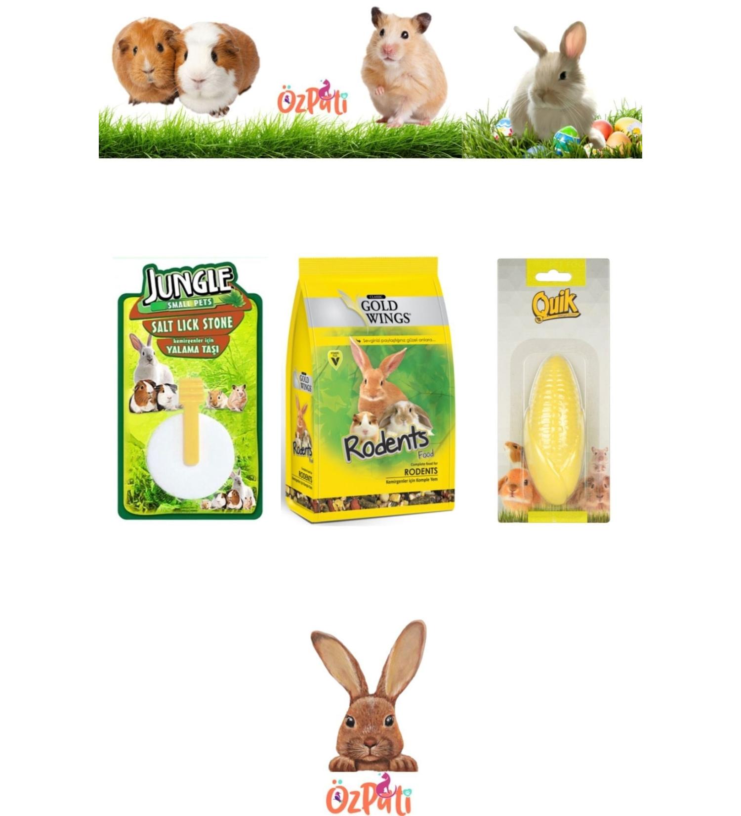 Gold Wings Rodent Food + Licking Stone + Calcium