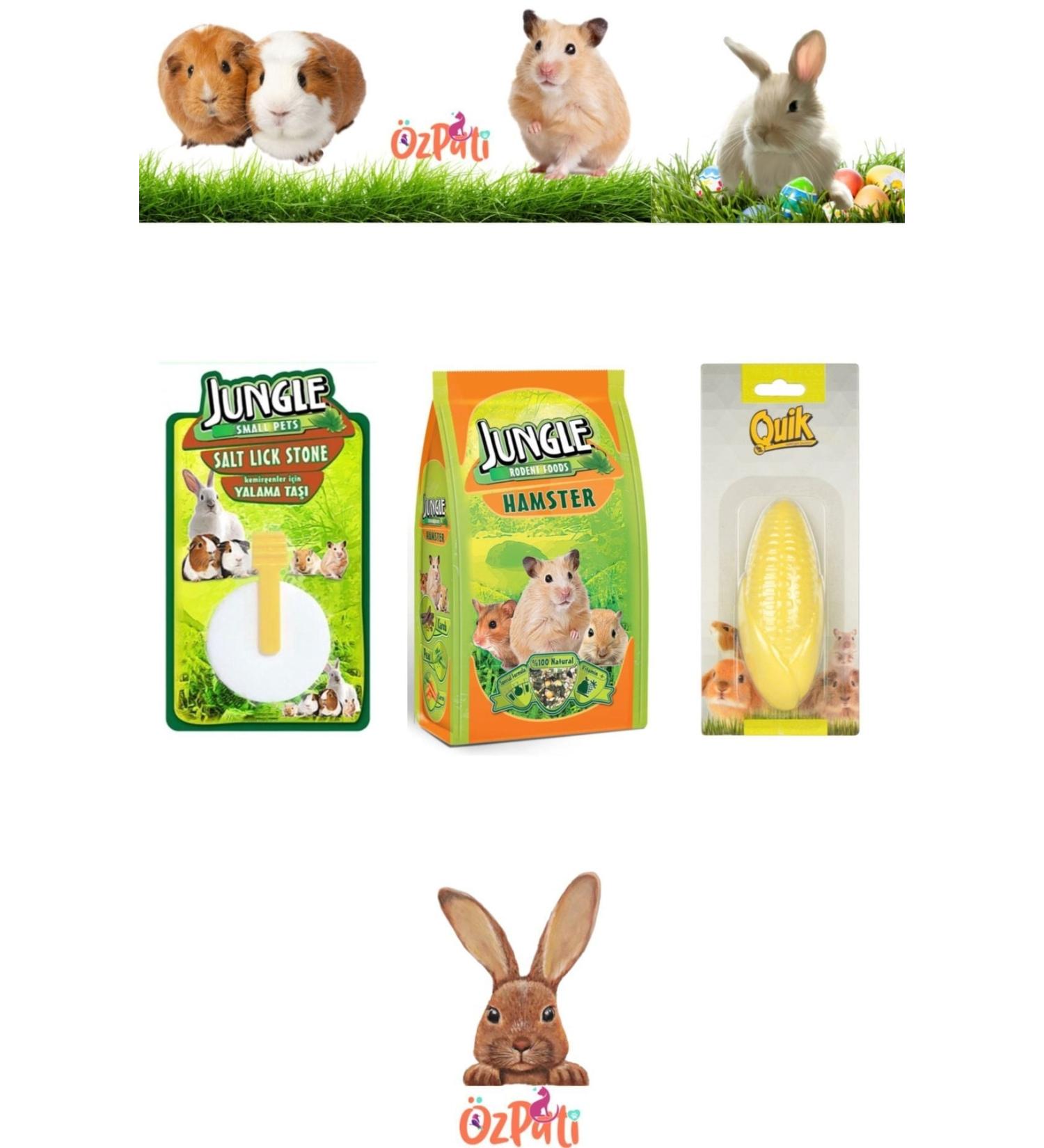 Jungle Hamster Food + Licking Stone + Calcium