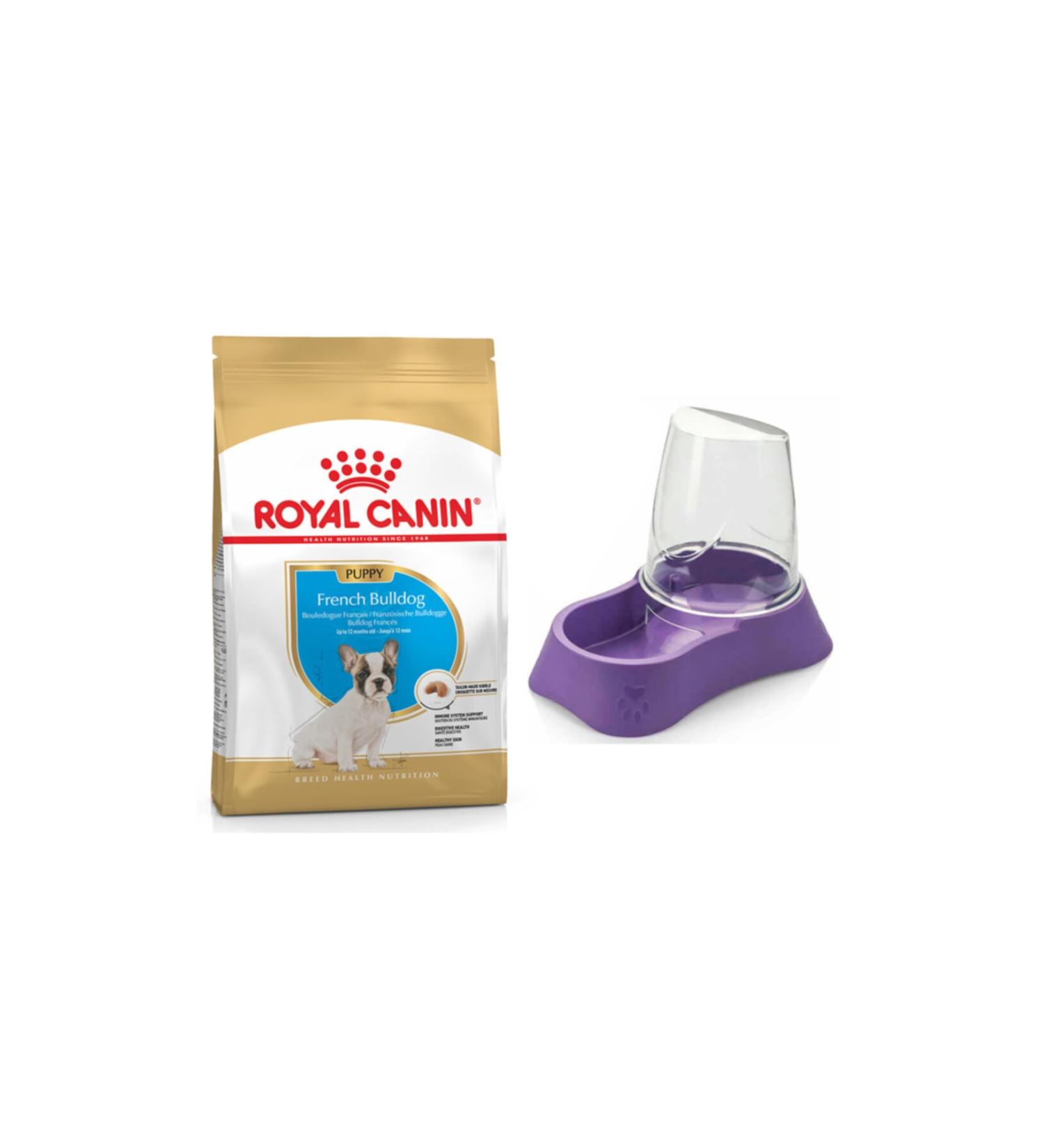 Royal Canin Puppy French Bulldog Dog Food 3 kg + Evohe Food Bowl