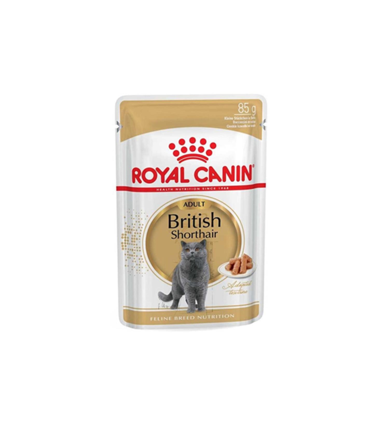 Royal Canin British Shorthair Pouch Canned 85 gr x 6 Pieces