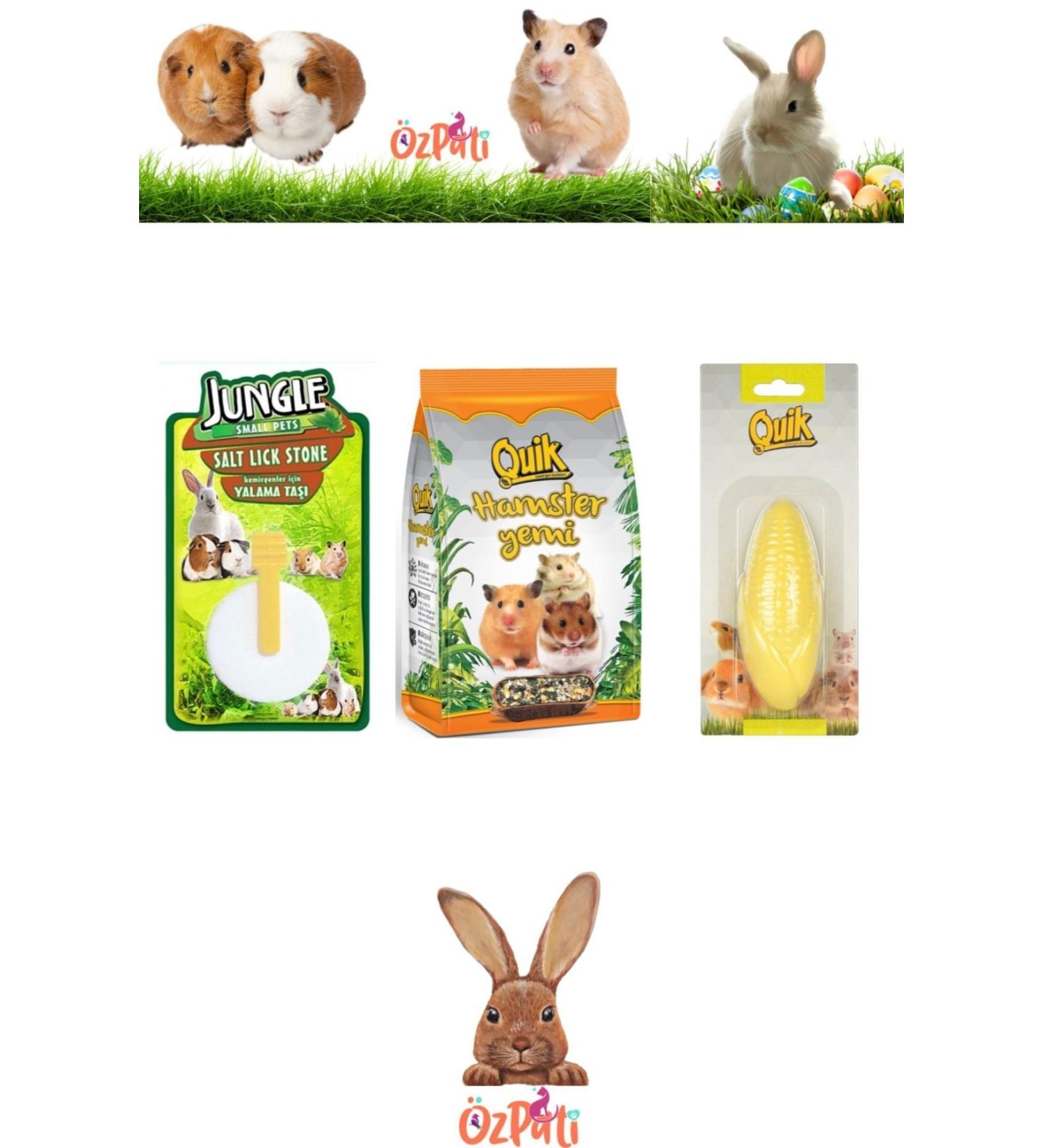 Quik Hamster Food Licking Stone Calcium