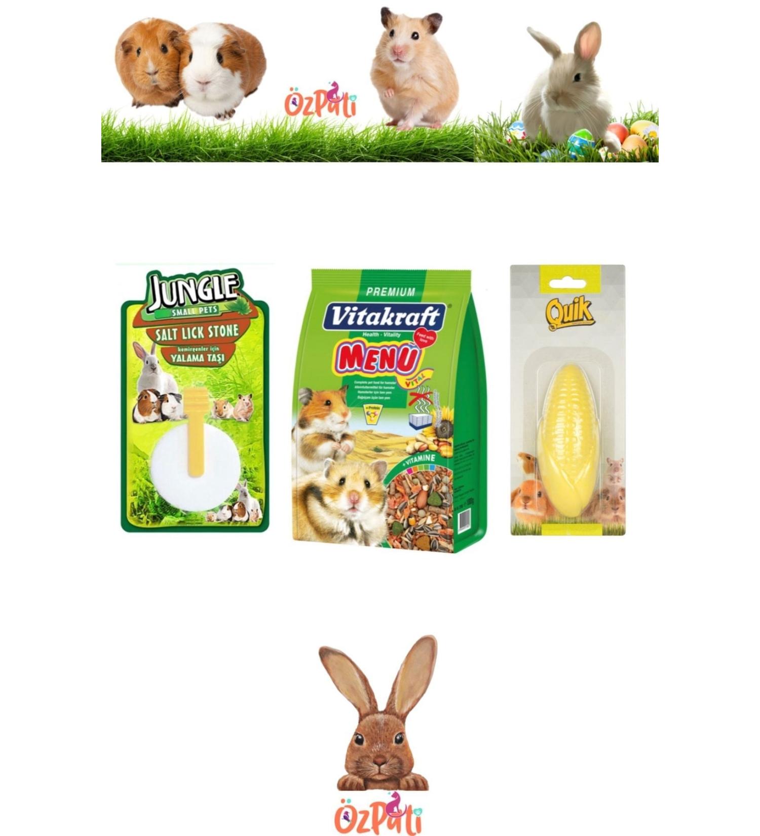 Vitakraft Hamster Food + Licking Stone + Calcium