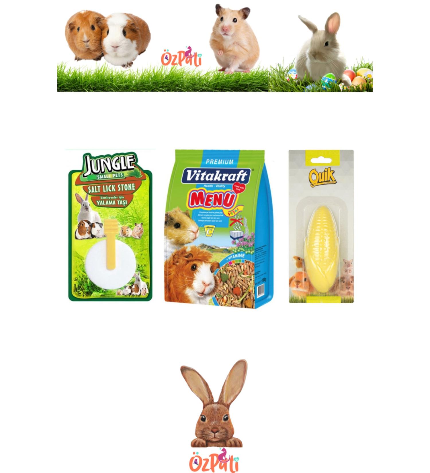 Vitakraft Guinea Pig Food + Licking Stone + Calcium