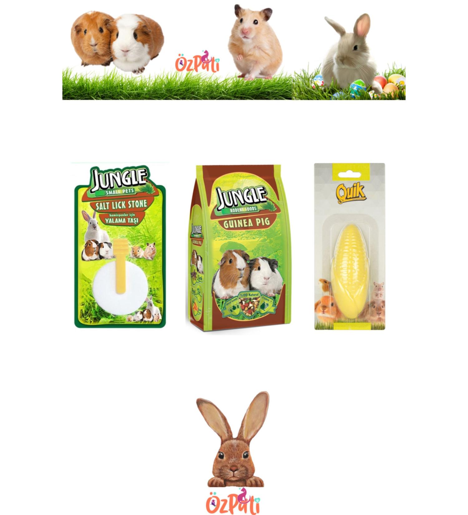 Jungle Guinea Pig Food + Licking Stone + Calcium