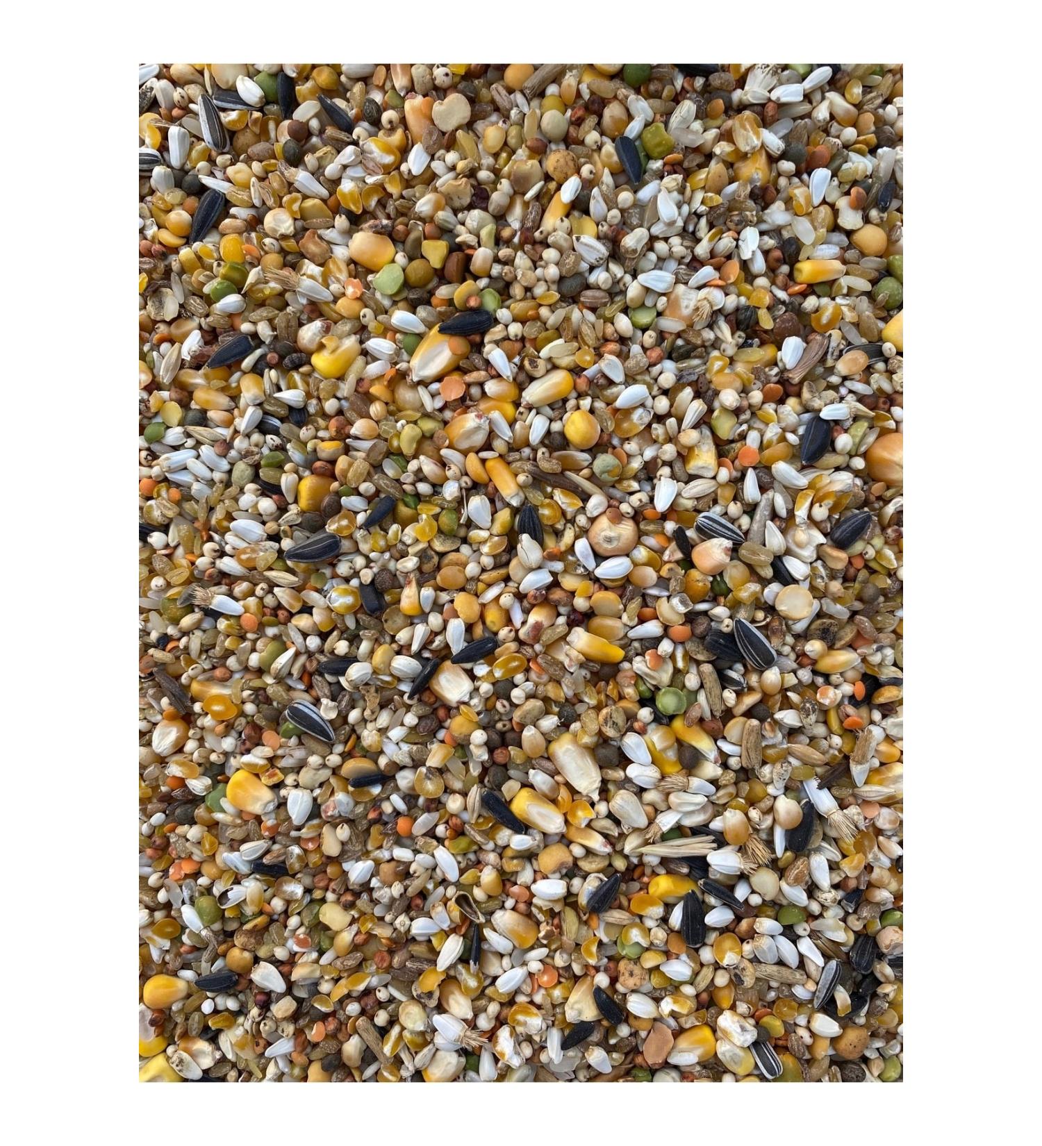 KlasPetshop Economic Mixed Pigeon Food Mixed Chicken Food 5 Kg